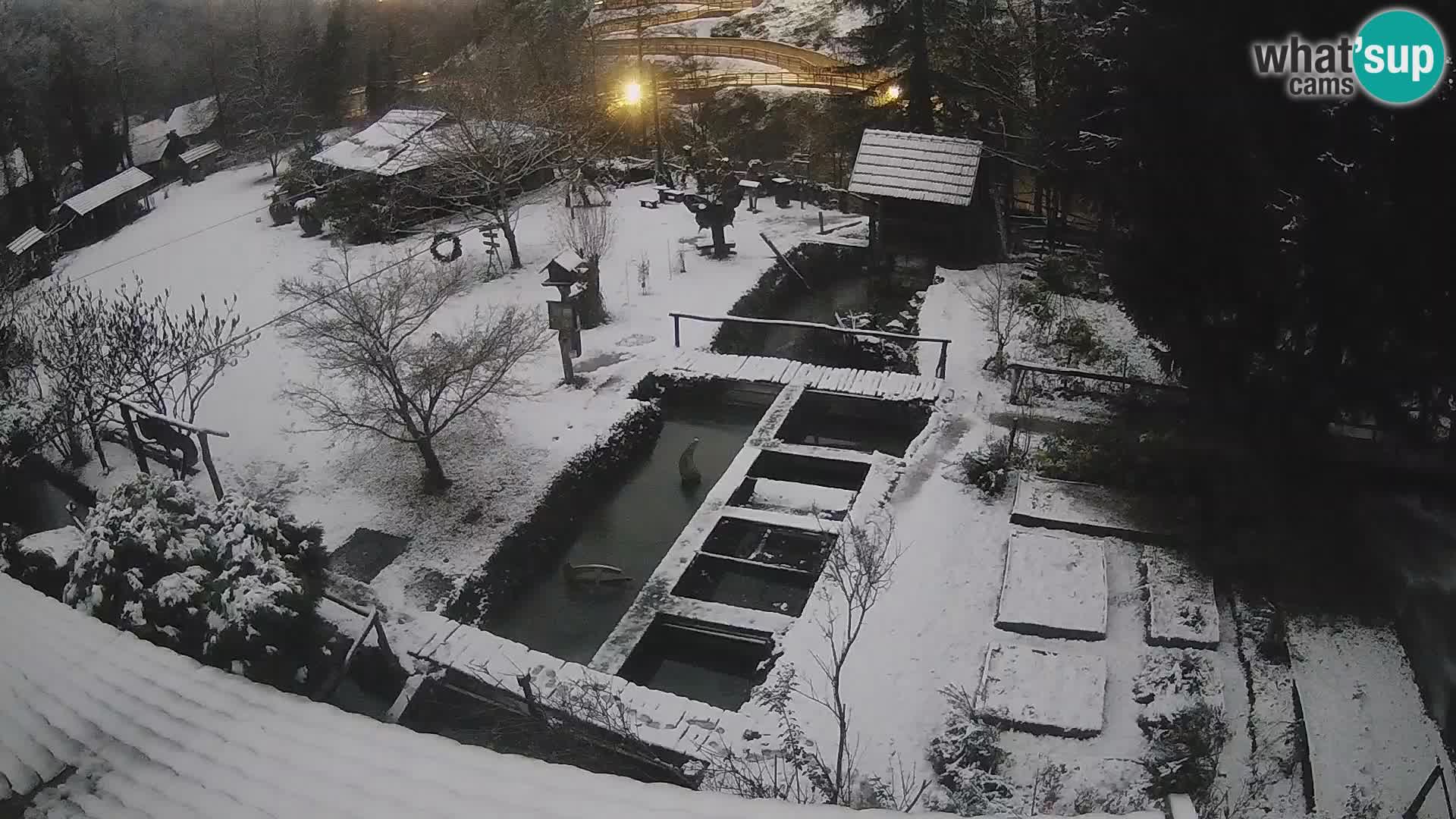 Cámara web en vivo Rastoke – río Slunjčica – Croacia