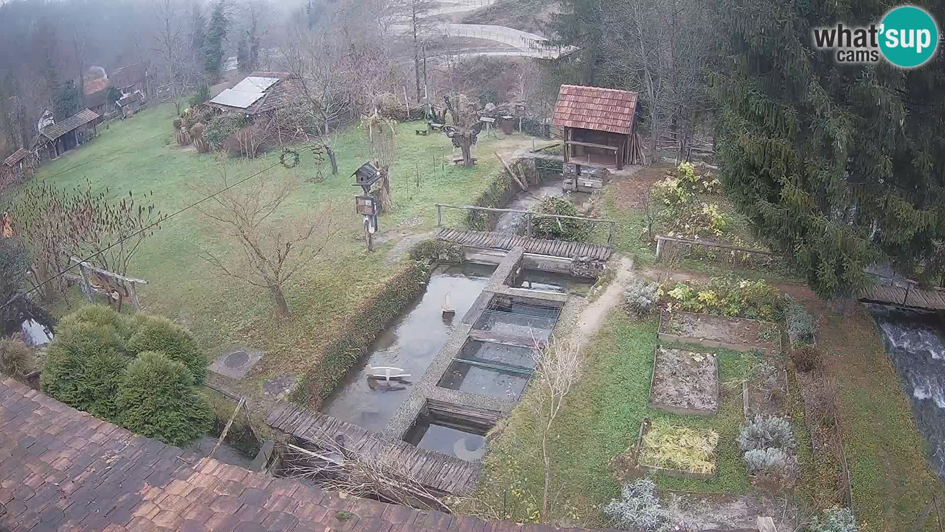 Live-Webcam Rastoke – Fluss Slunjčica – Kroatien