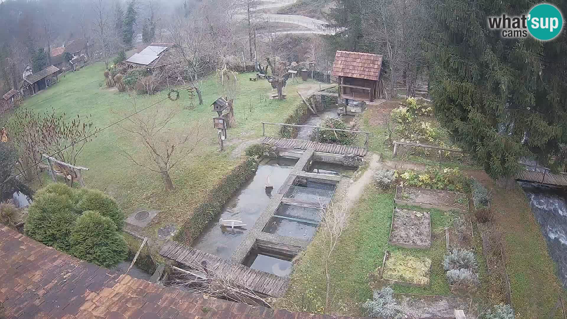 Spletna kamera v živo Rastoke – reka Slunjčica – Hrvaška