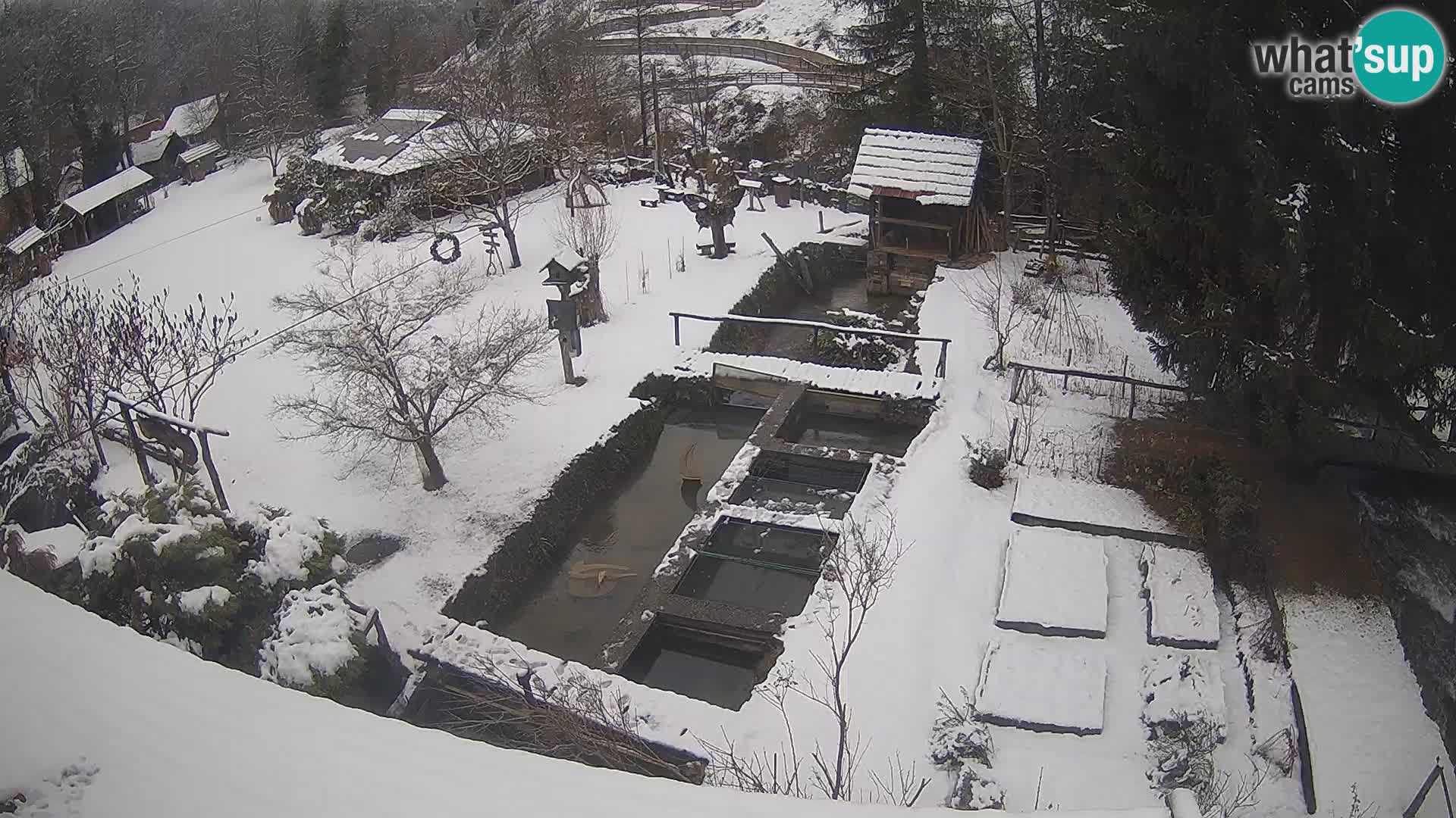 Live webcam Rastoke – river Slunjčica – Croatia