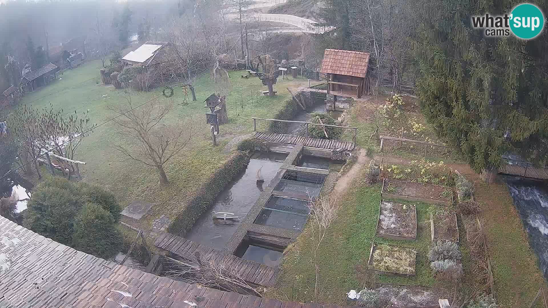 Spletna kamera v živo Rastoke – reka Slunjčica – Hrvaška