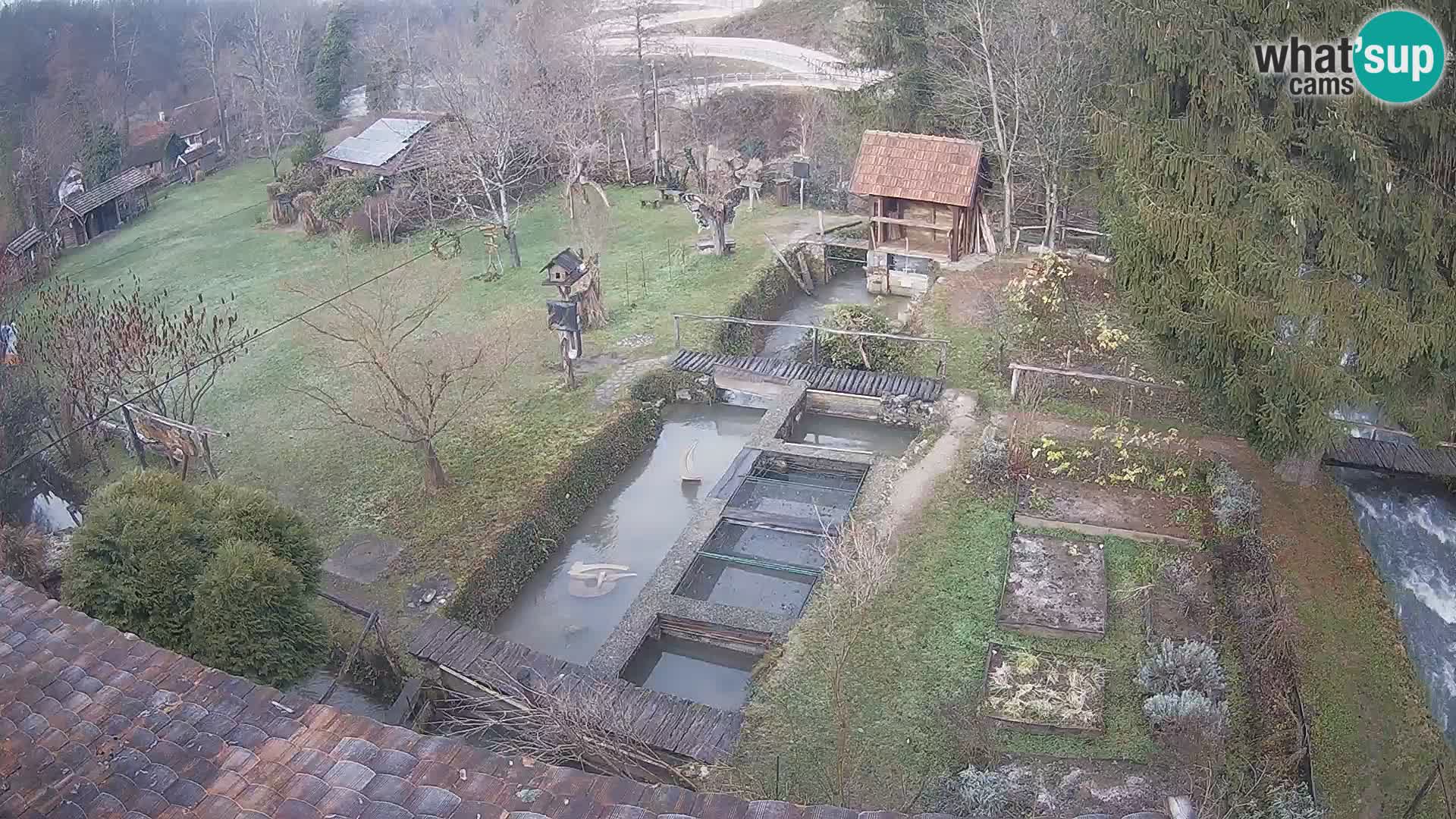 Live webcam Rastoke – river Slunjčica – Croatia