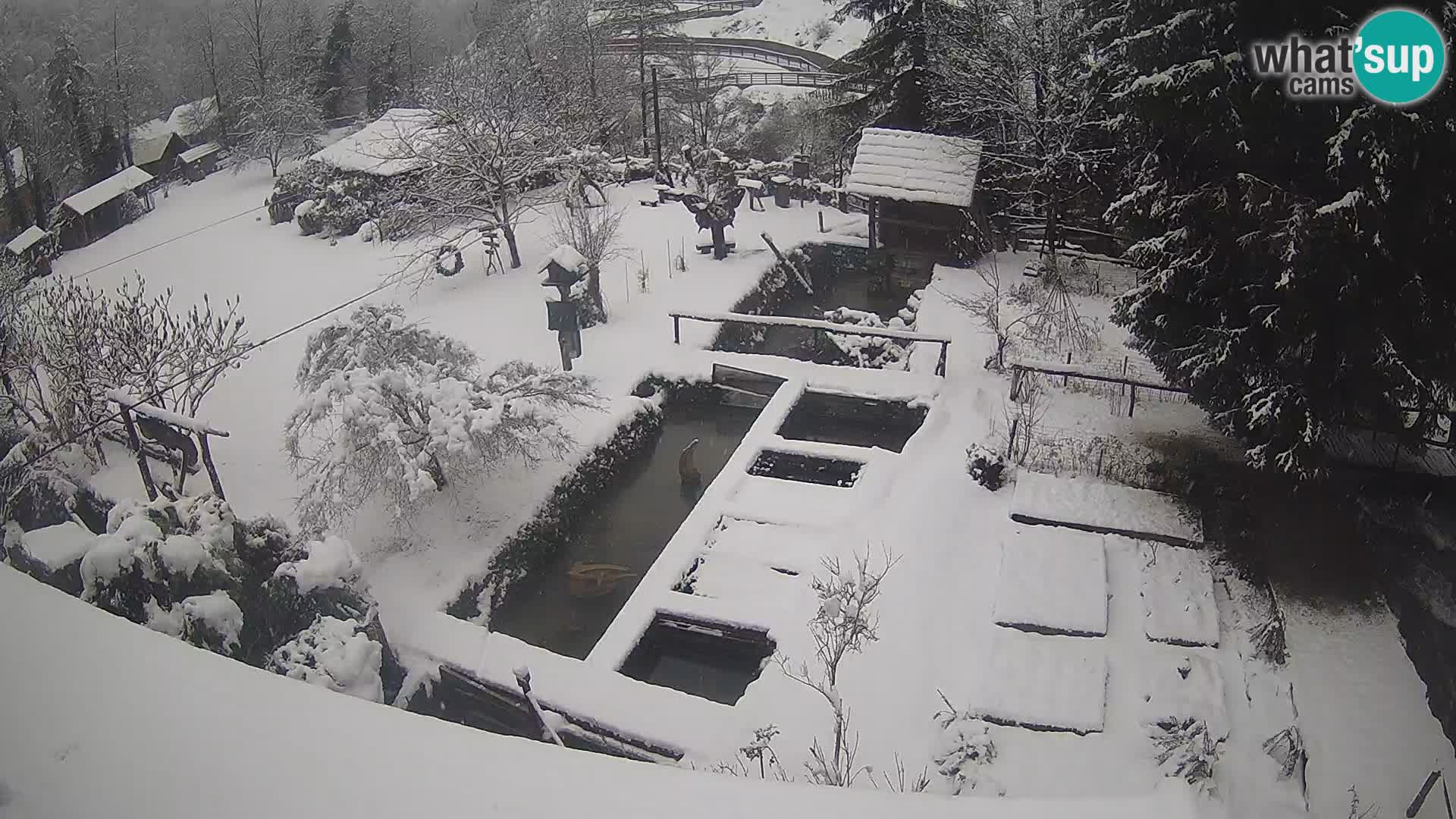 Webcam en direct Rastoke – rivière Slunjčica – Croatie