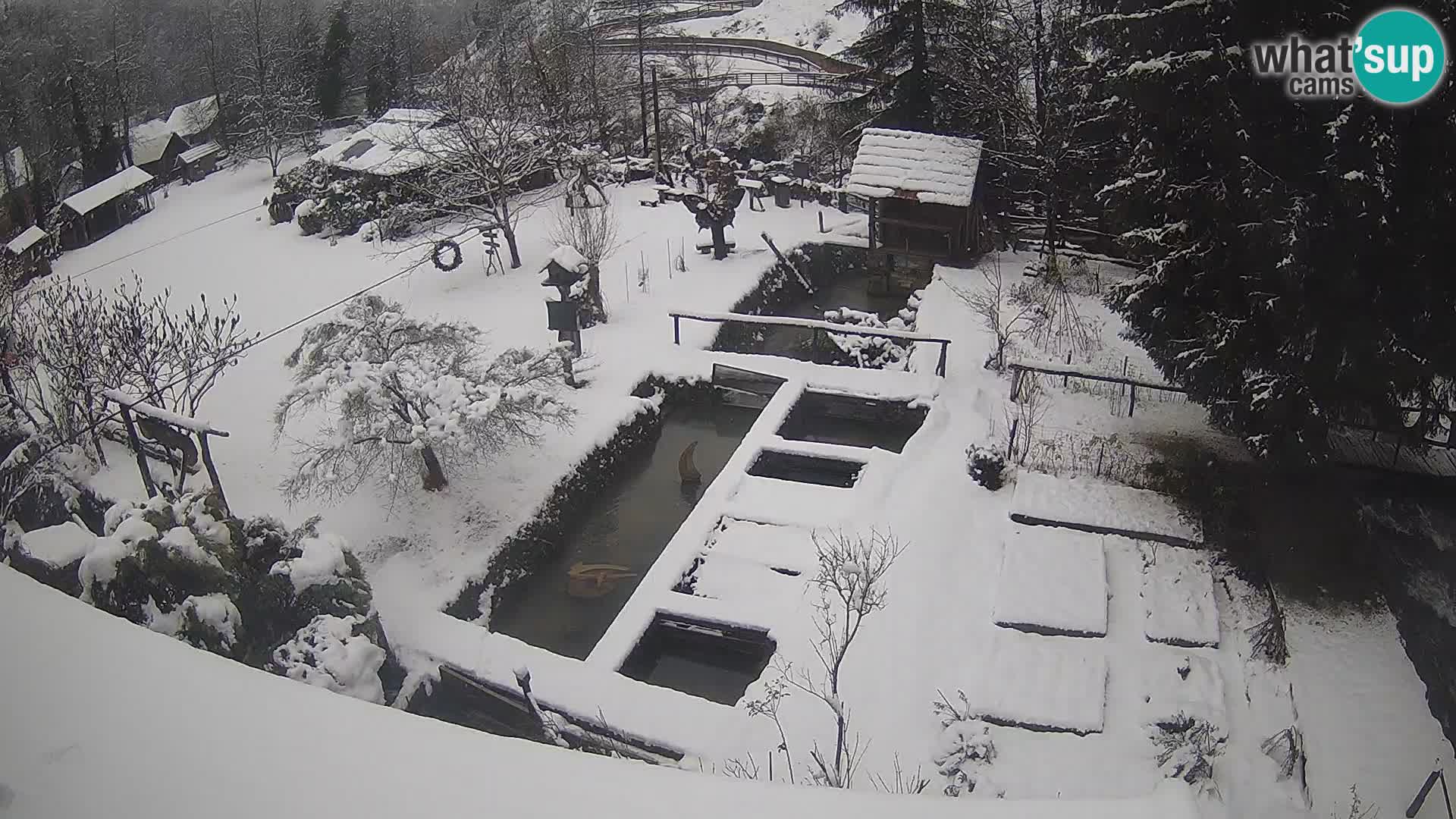 Webcam en direct Rastoke – rivière Slunjčica – Croatie