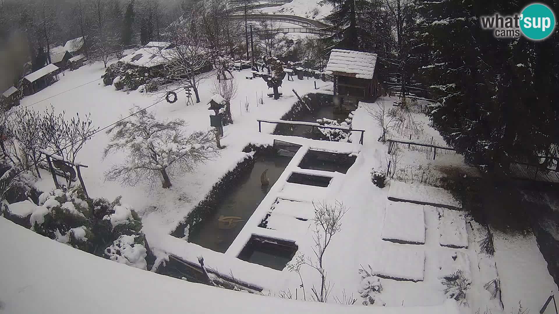 Live webcam Rastoke – river Slunjčica – Croatia