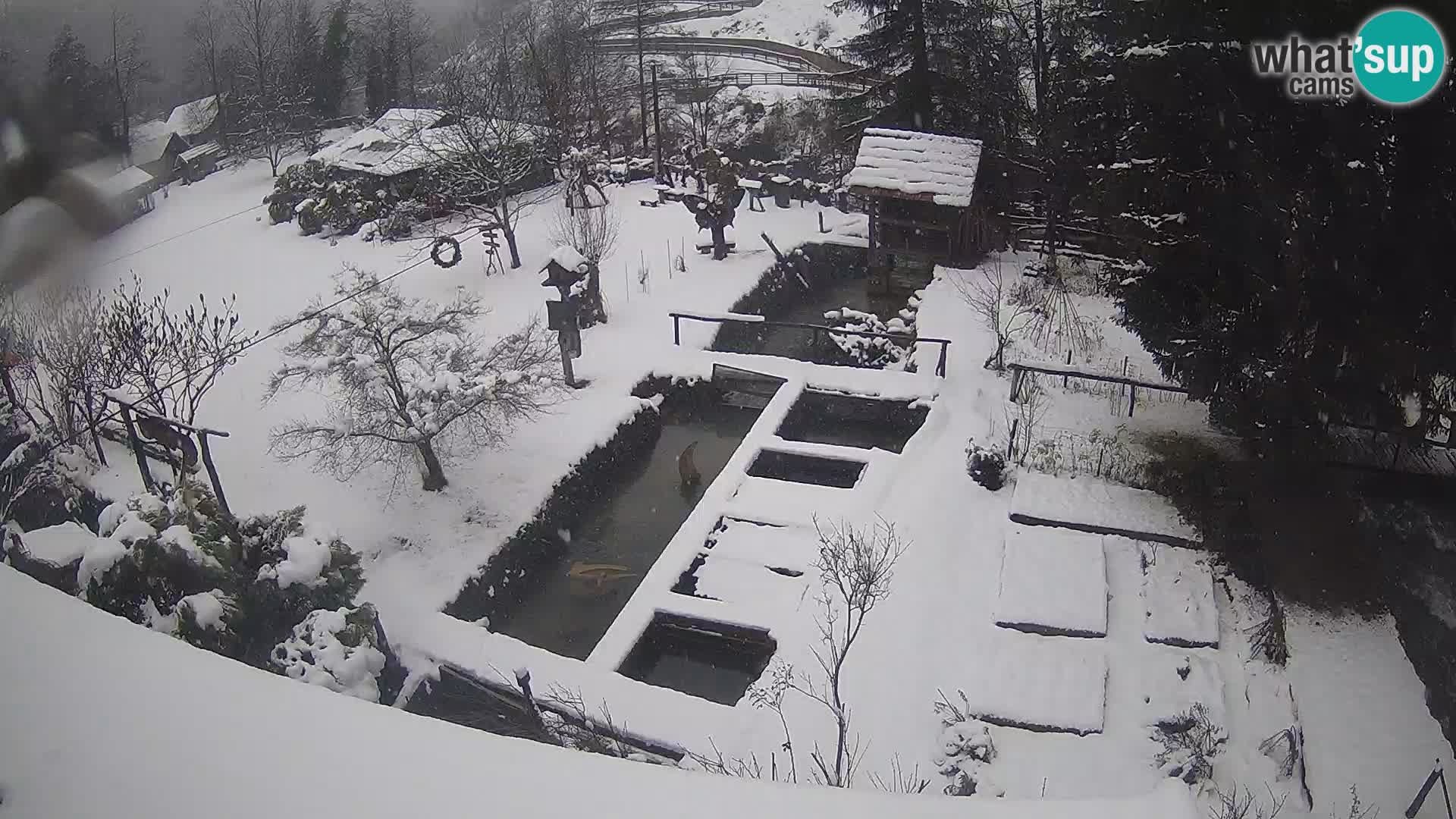 Live webcam Rastoke – fiume Slunjčica – Croazia