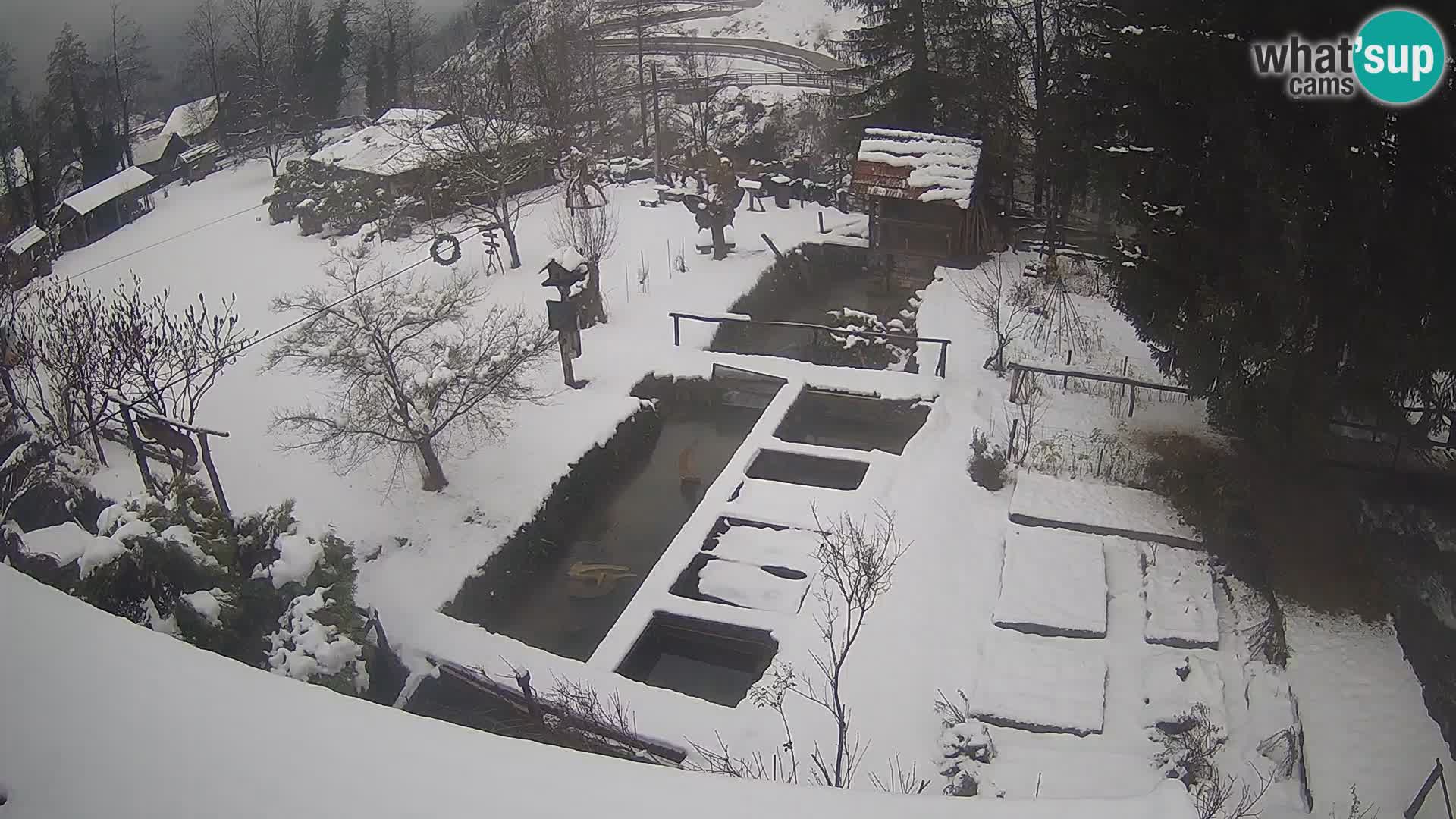 Live webcam Rastoke – river Slunjčica – Croatia