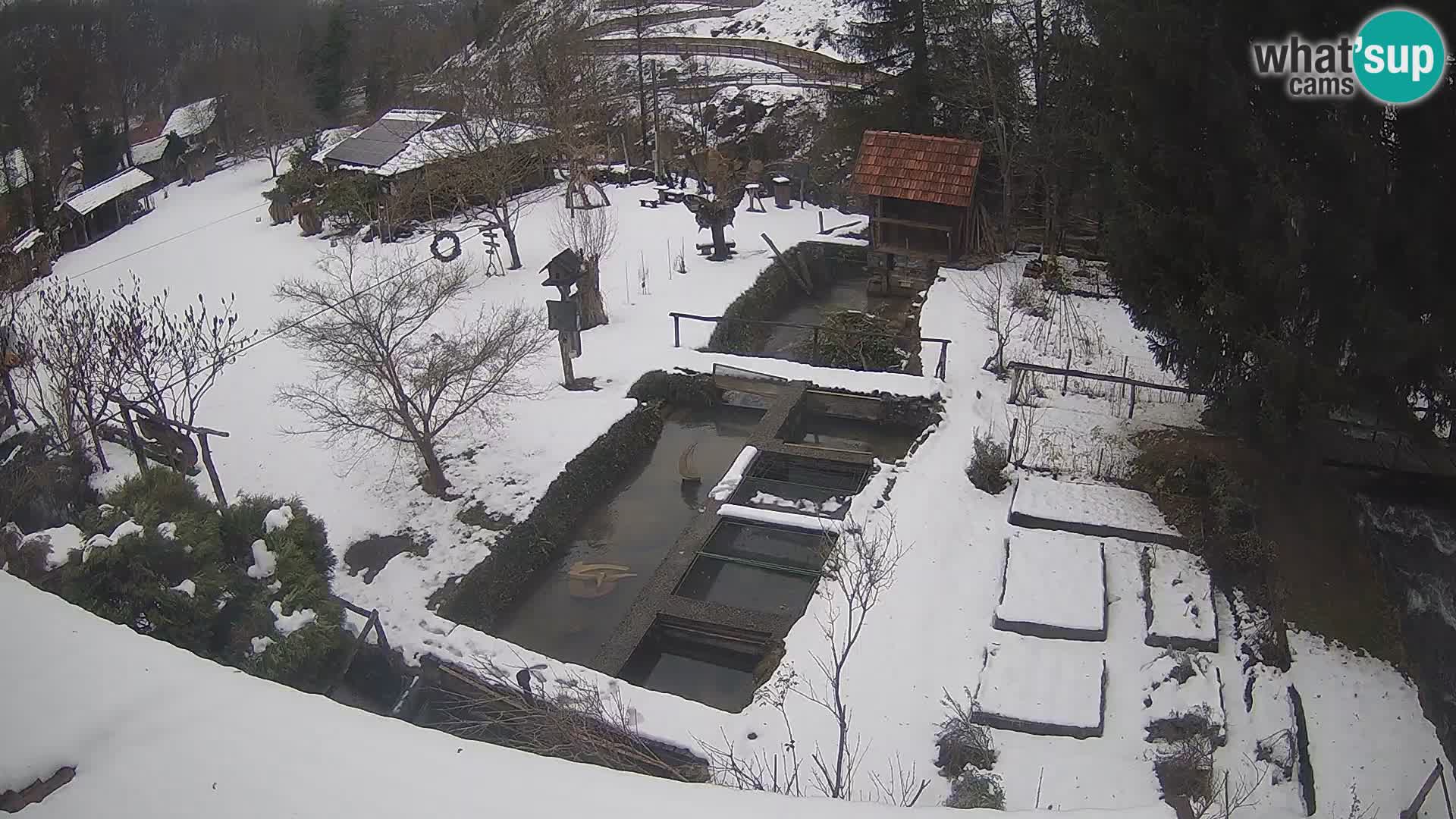 Live webcam Rastoke – river Slunjčica – Croatia