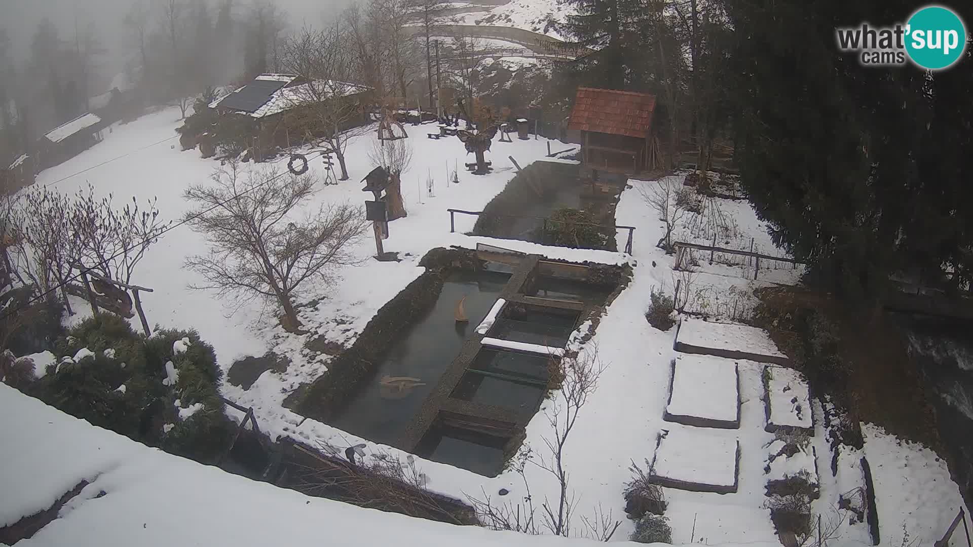 Live-Webcam Rastoke – Fluss Slunjčica – Kroatien