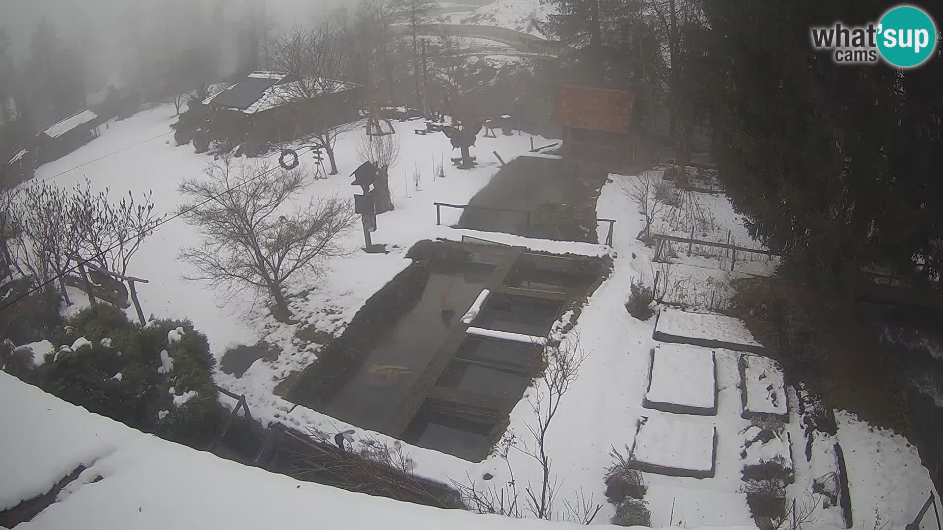 Live-Webcam Rastoke – Fluss Slunjčica – Kroatien