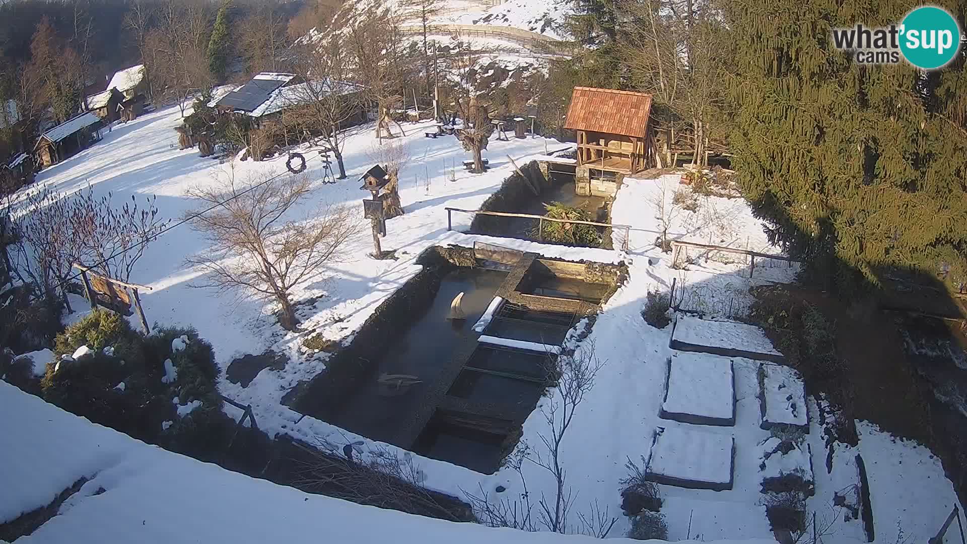 Live webcam Rastoke – river Slunjčica – Croatia