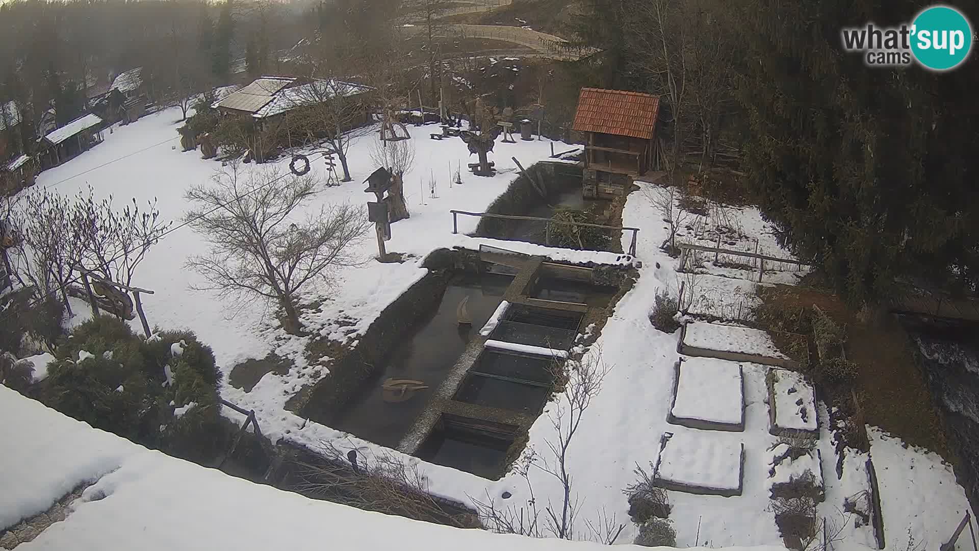 Live-Webcam Rastoke – Fluss Slunjčica – Kroatien