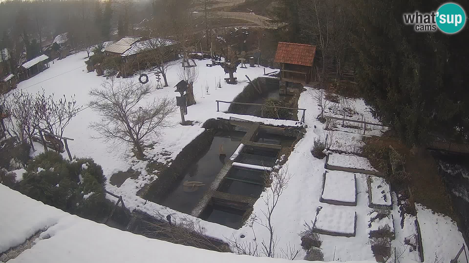 Live webcam Rastoke – river Slunjčica – Croatia