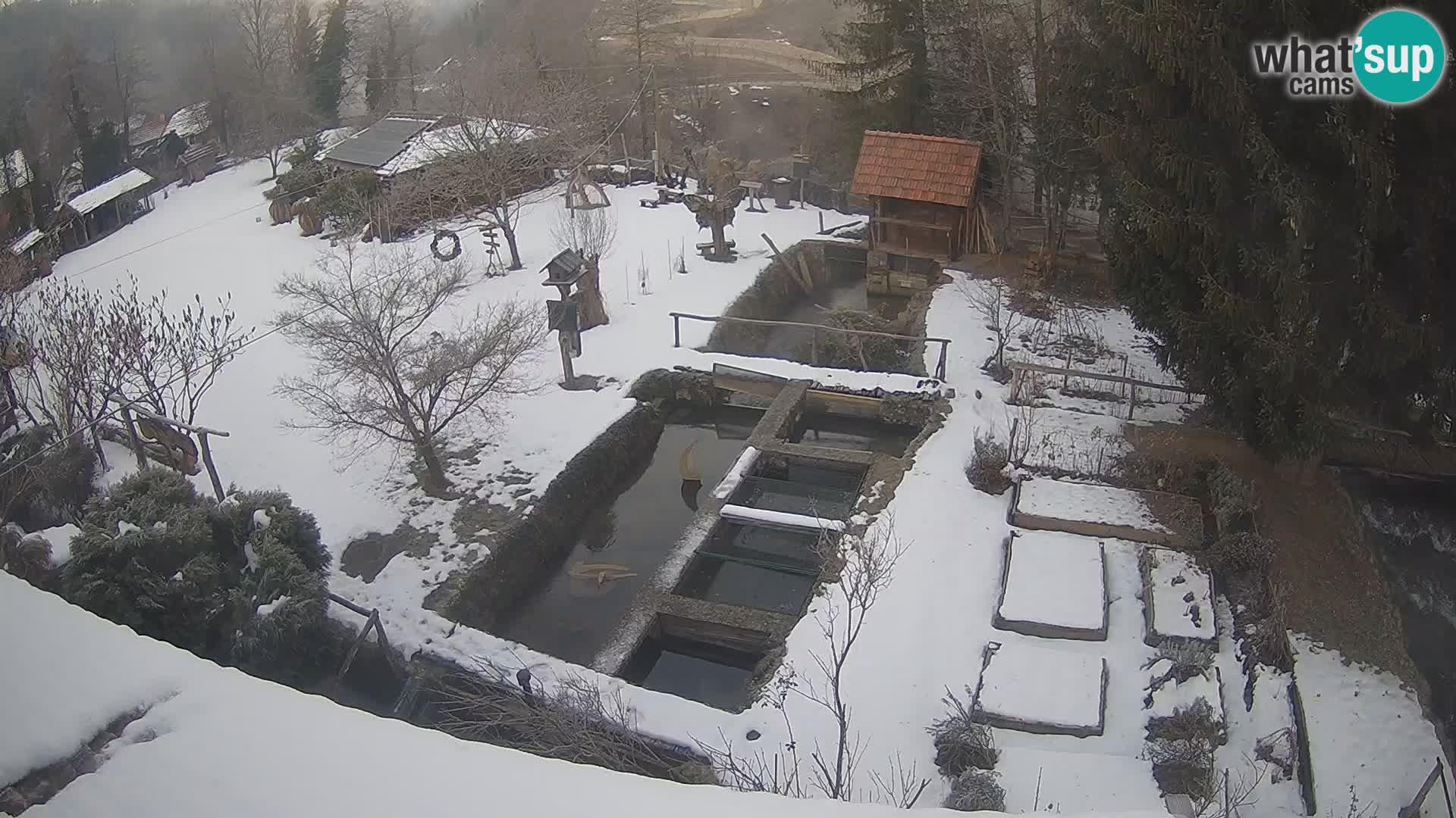 Webcam en direct Rastoke – rivière Slunjčica – Croatie