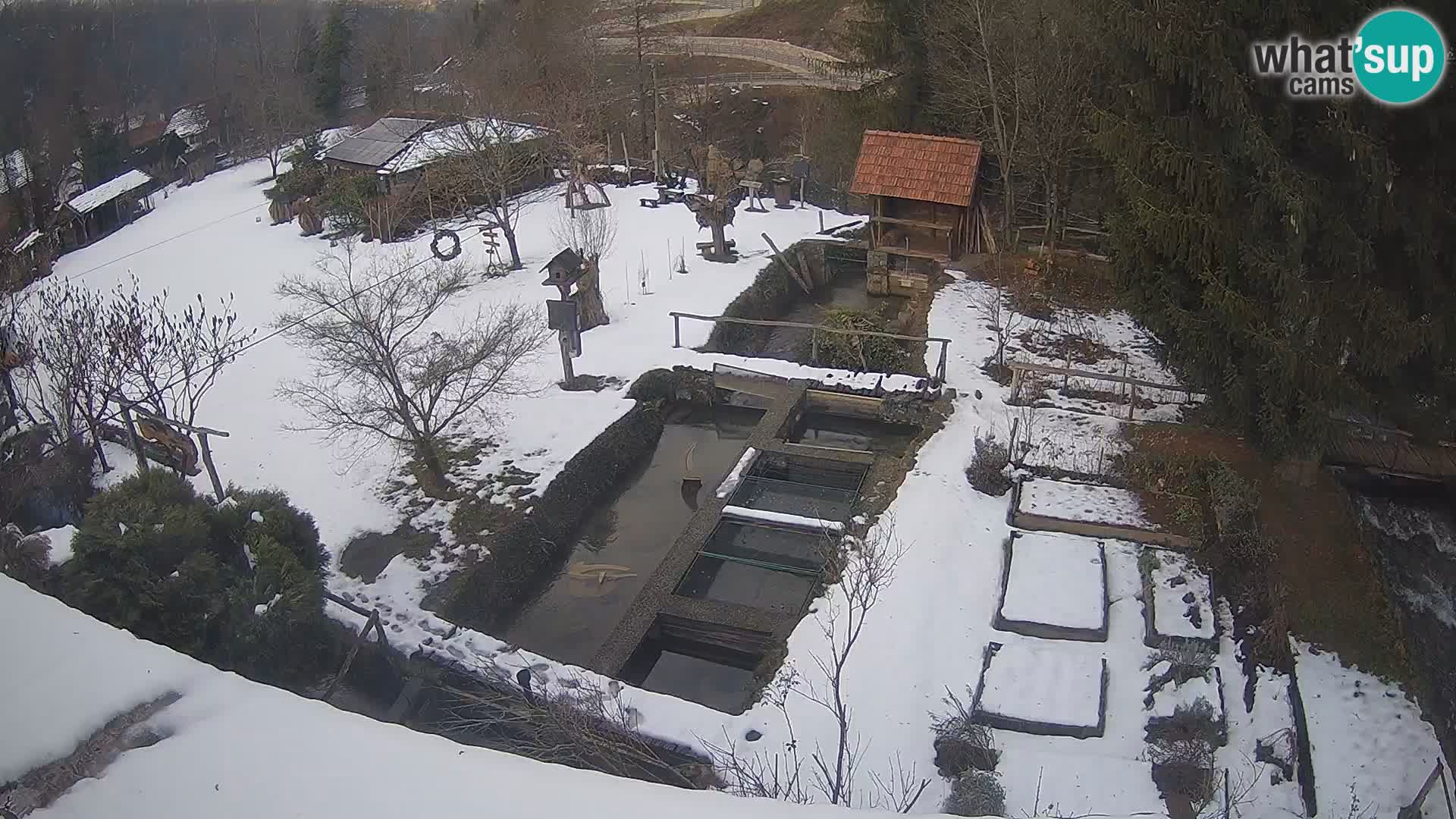 Live webcam Rastoke – river Slunjčica – Croatia