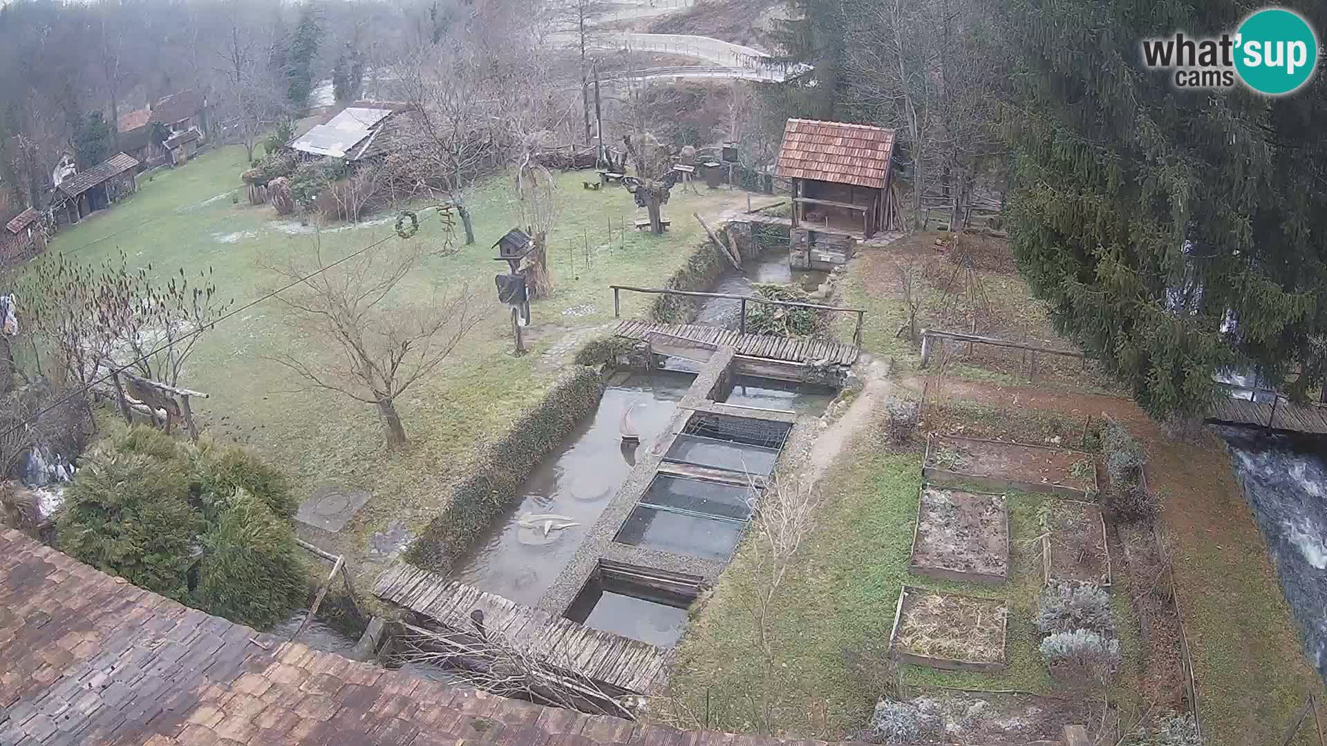 Live webcam Rastoke – river Slunjčica – Croatia