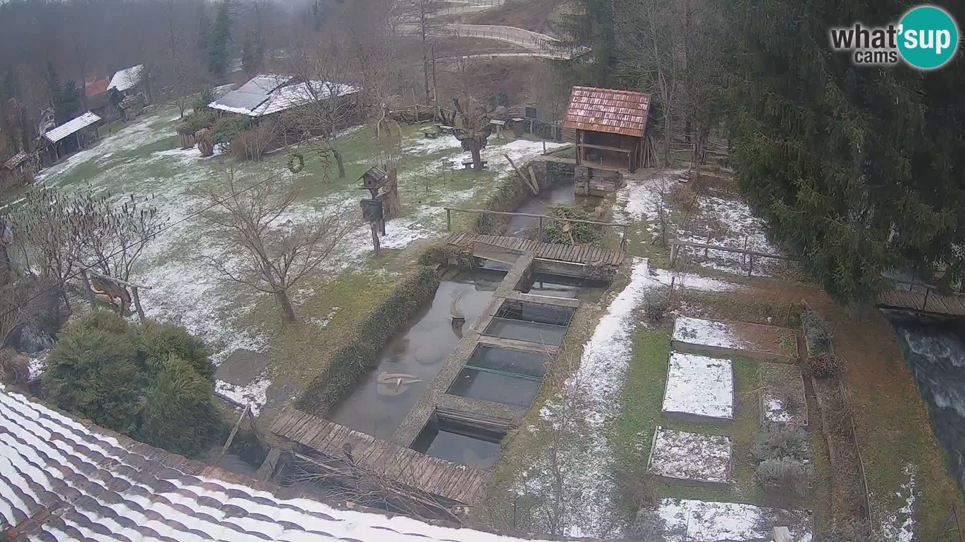 Cámara web en vivo Rastoke – río Slunjčica – Croacia