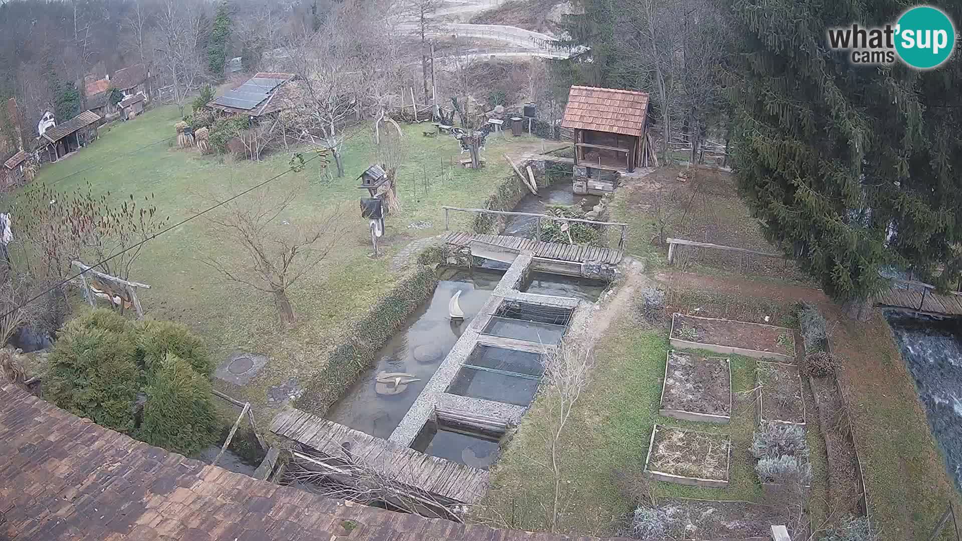 Spletna kamera v živo Rastoke – reka Slunjčica – Hrvaška