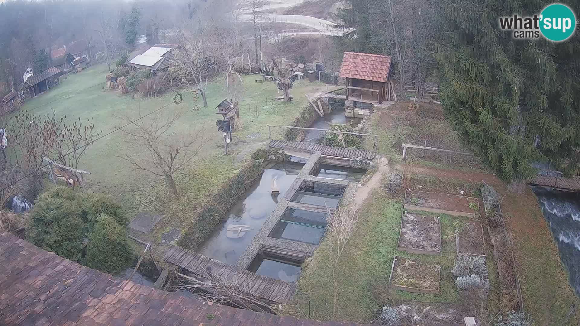 Cámara web en vivo Rastoke – río Slunjčica – Croacia