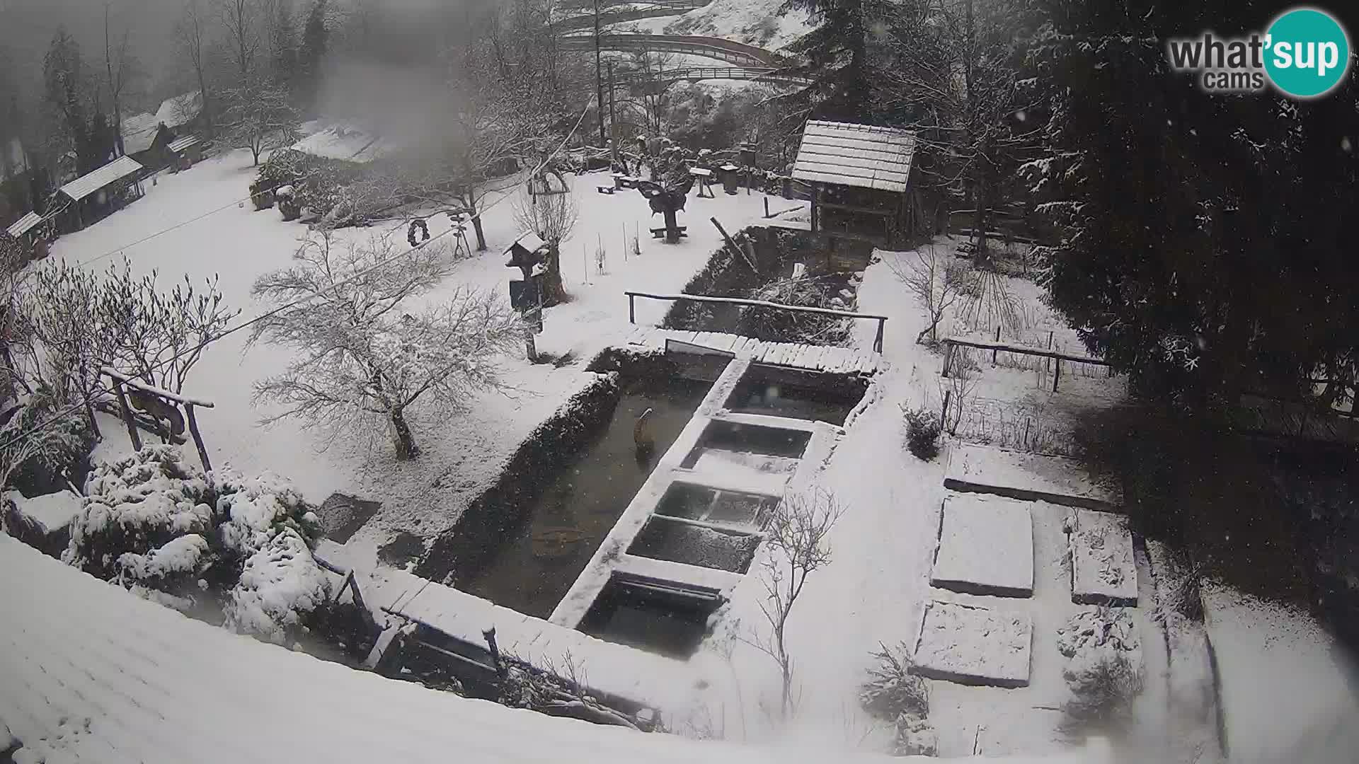 Live-Webcam Rastoke – Fluss Slunjčica – Kroatien