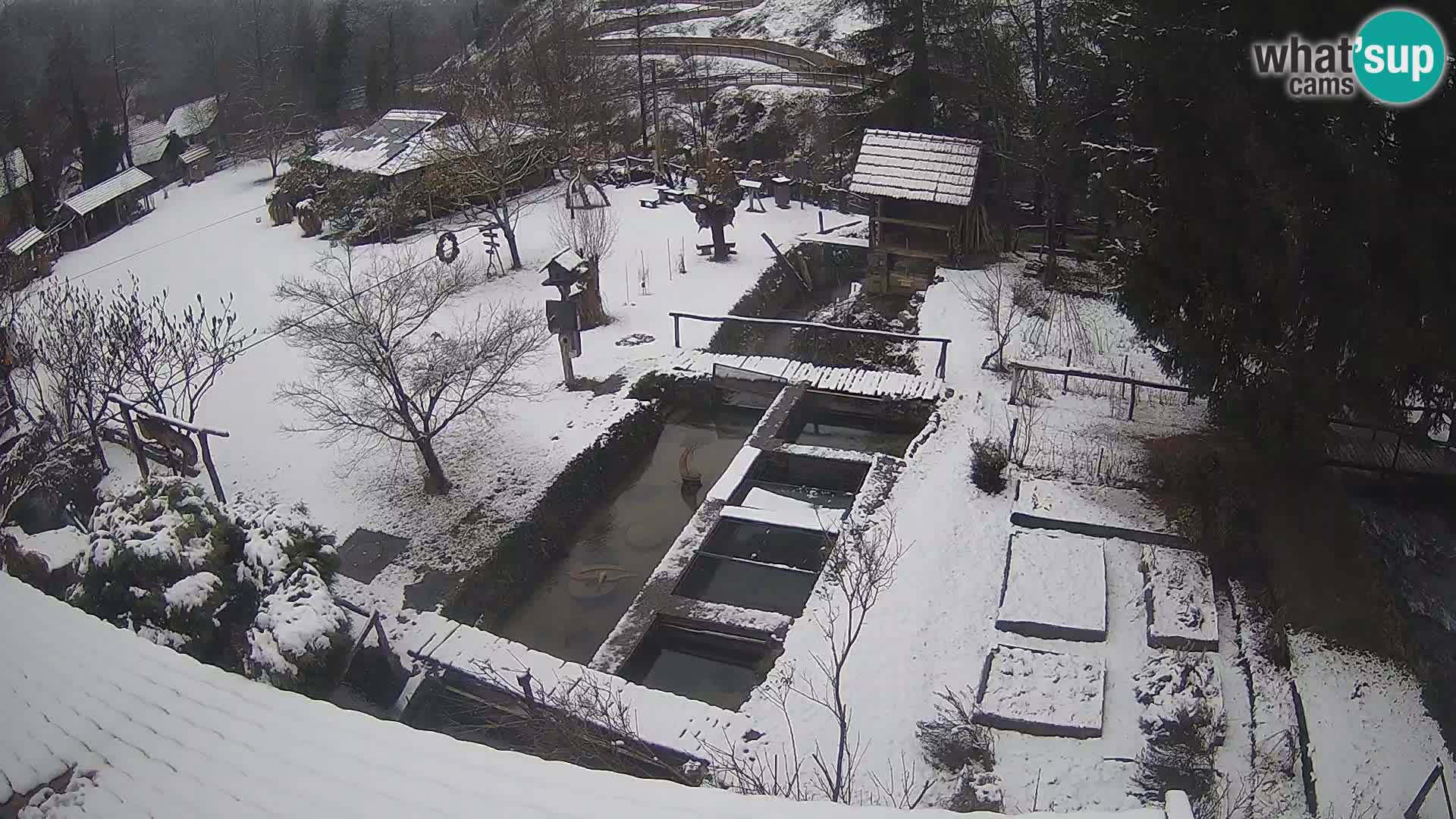 Live-Webcam Rastoke – Fluss Slunjčica – Kroatien