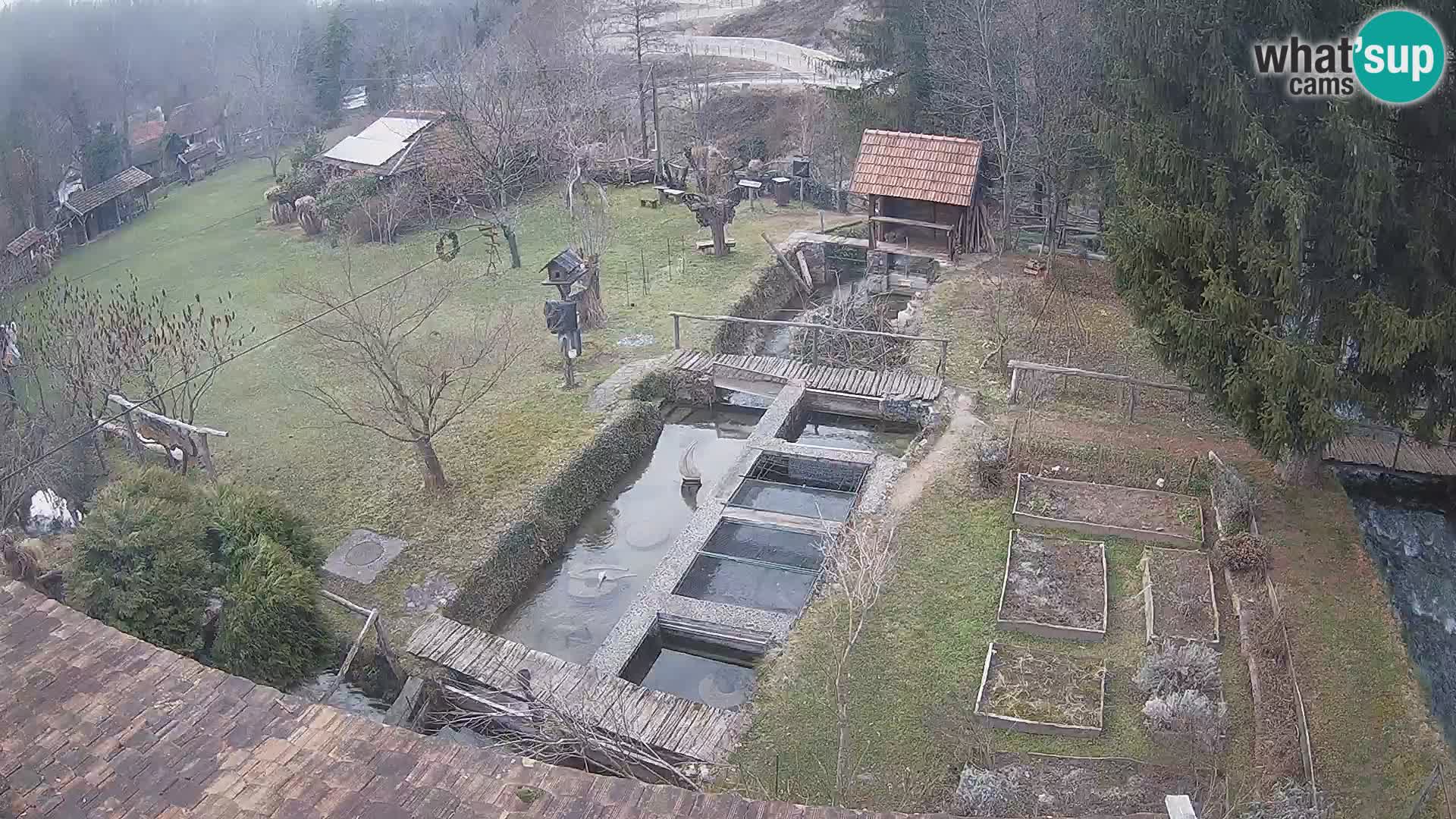 Cámara web en vivo Rastoke – río Slunjčica – Croacia