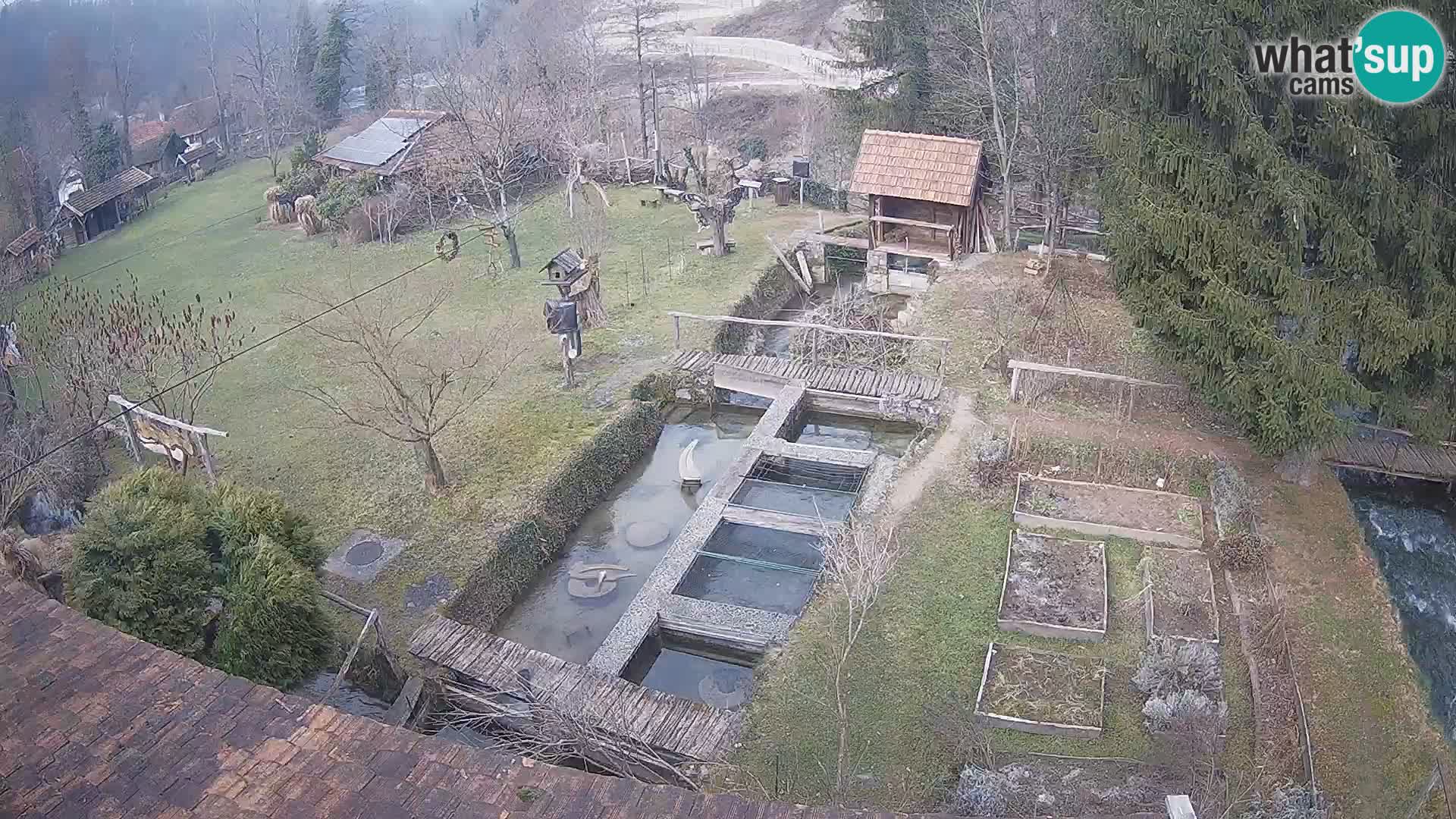 Live webcam Rastoke – river Slunjčica – Croatia