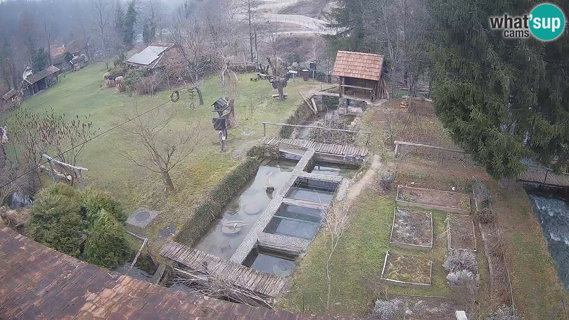 Cámara web en vivo Rastoke – río Slunjčica – Croacia