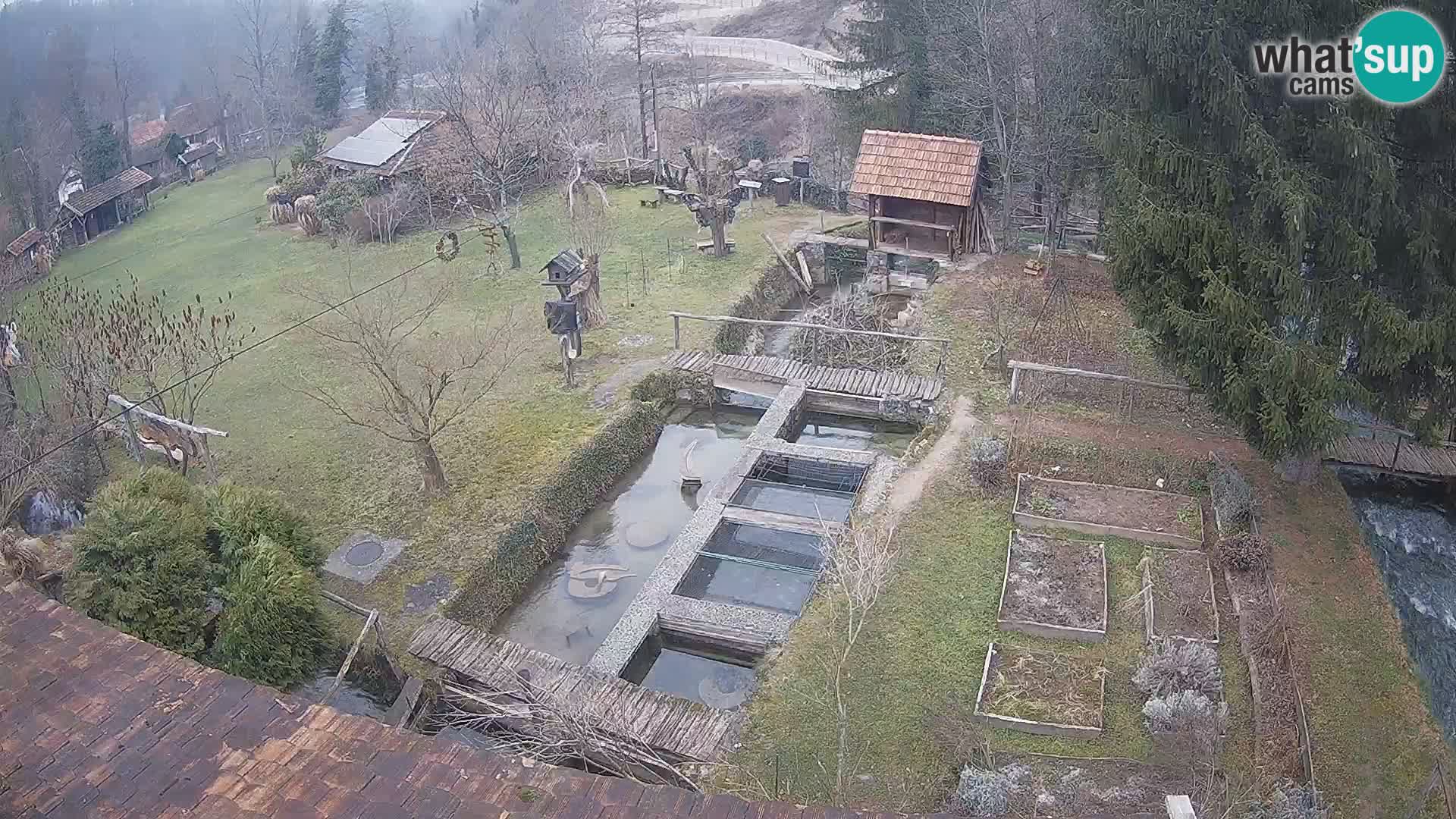 Cámara web en vivo Rastoke – río Slunjčica – Croacia