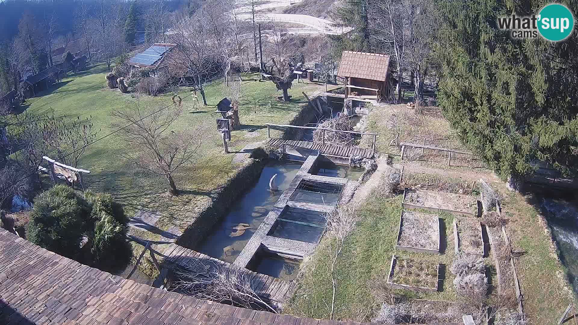 Spletna kamera v živo Rastoke – reka Slunjčica – Hrvaška