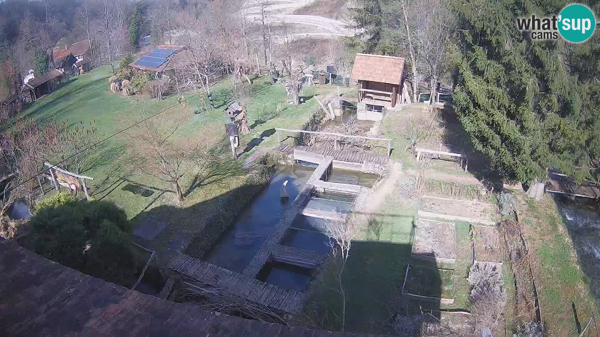 Cámara web en vivo Rastoke – río Slunjčica – Croacia