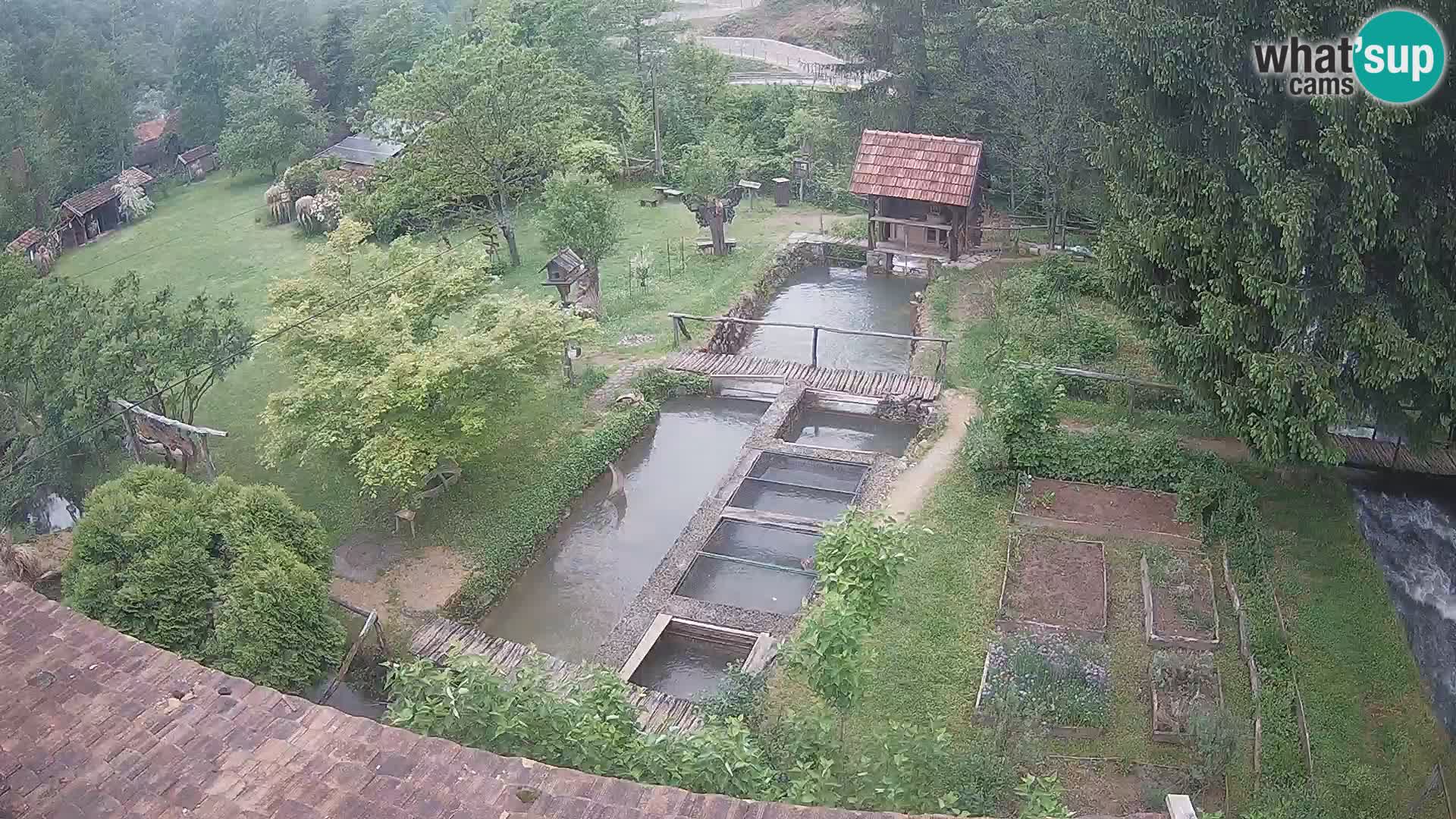 Live-Webcam Rastoke – Fluss Slunjčica – Kroatien