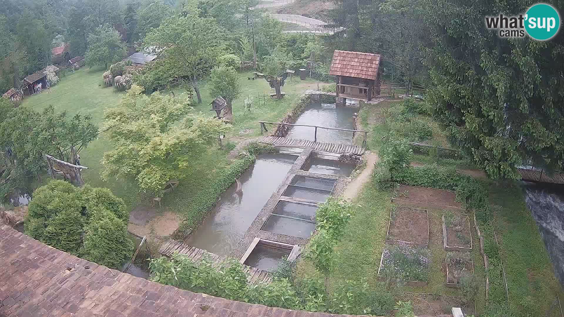 Live webcam Rastoke – river Slunjčica – Croatia
