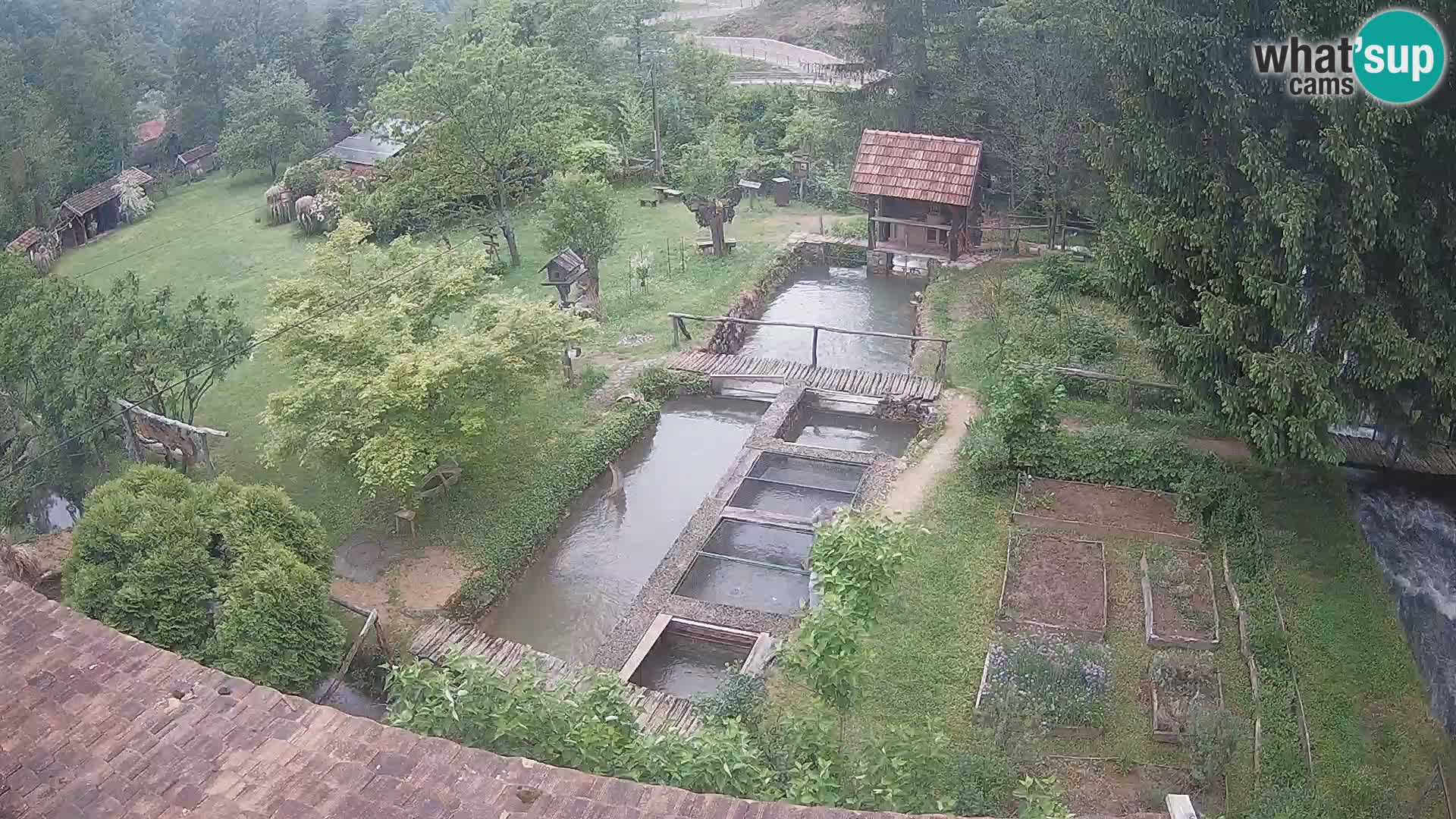 Cámara web en vivo Rastoke – río Slunjčica – Croacia
