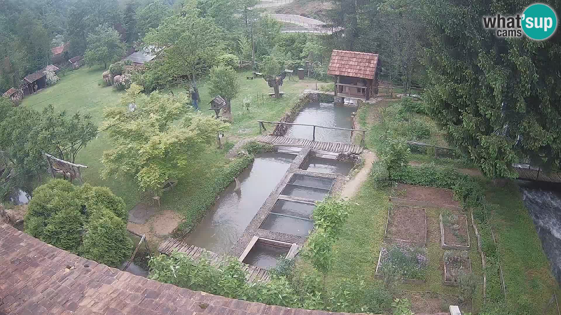 Cámara web en vivo Rastoke – río Slunjčica – Croacia
