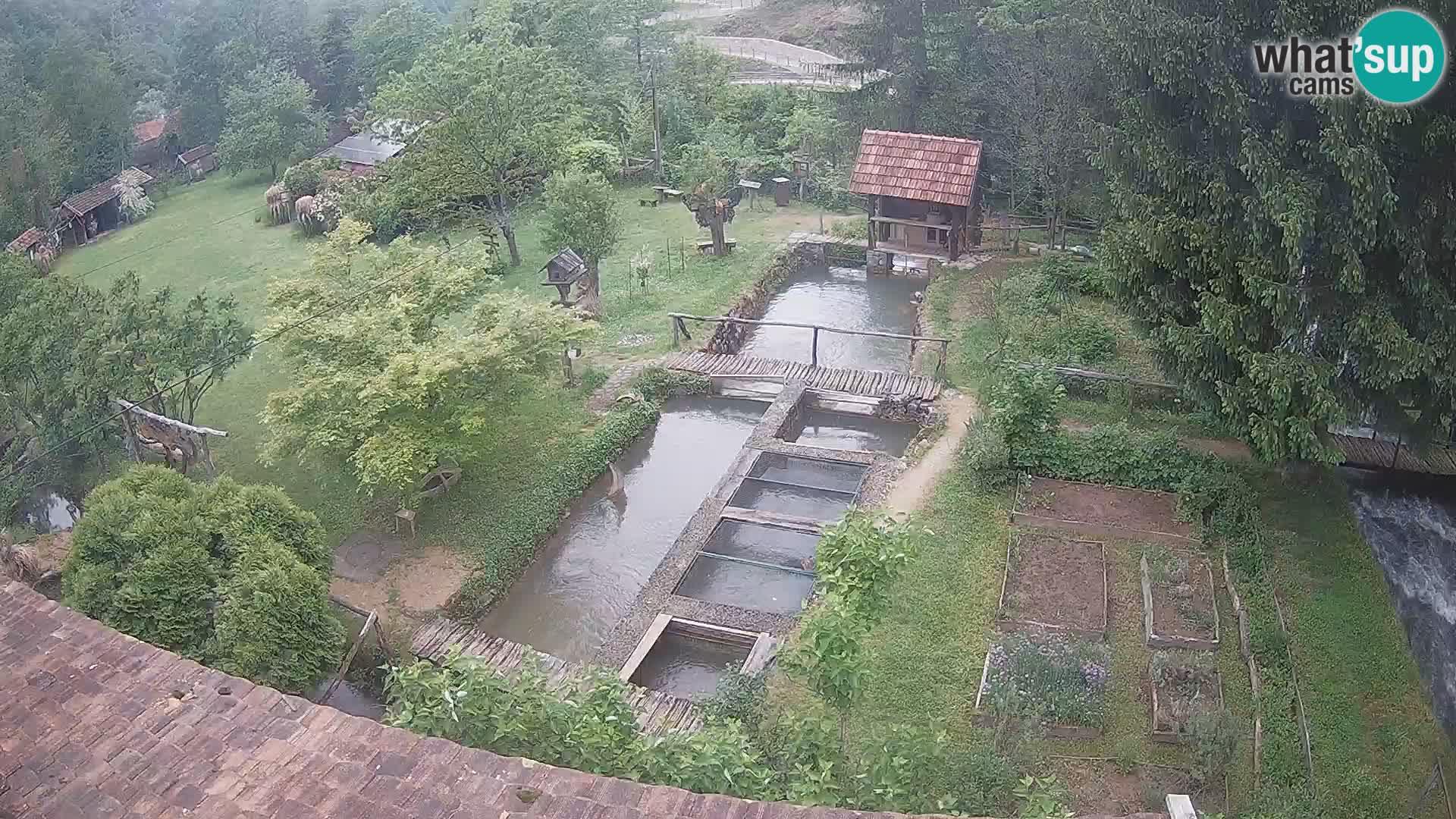 Webcam en direct Rastoke – rivière Slunjčica – Croatie