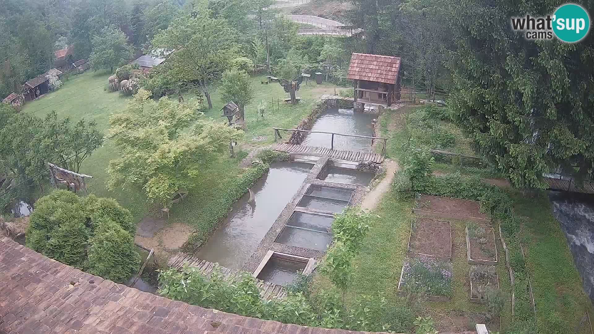 Live webcam Rastoke – river Slunjčica – Croatia