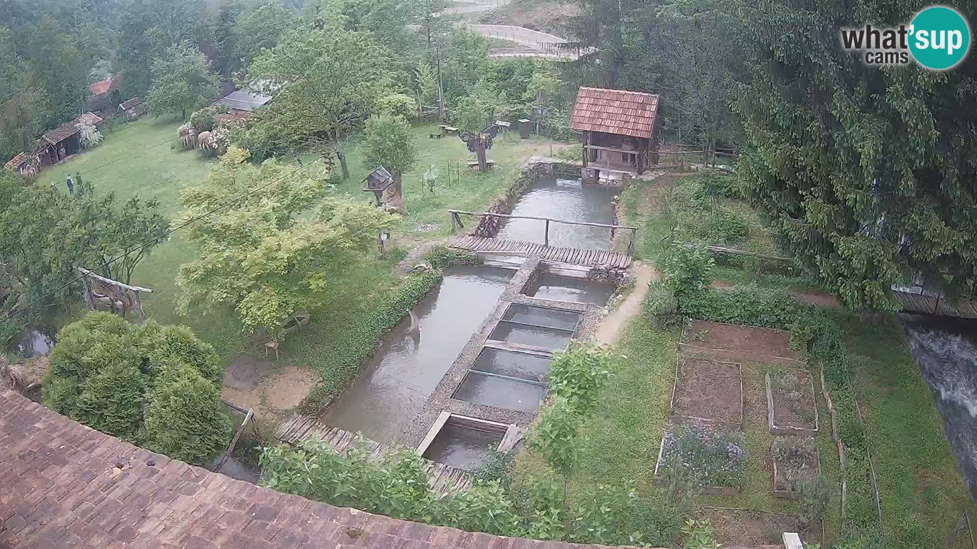 Live-Webcam Rastoke – Fluss Slunjčica – Kroatien