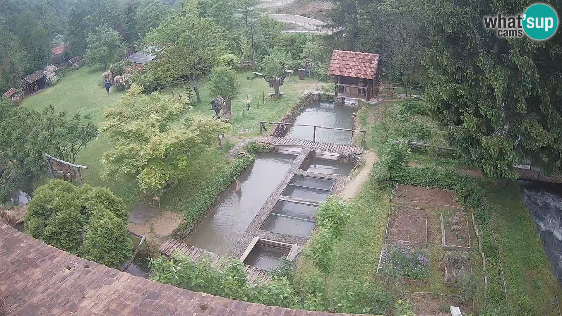 Live-Webcam Rastoke – Fluss Slunjčica – Kroatien