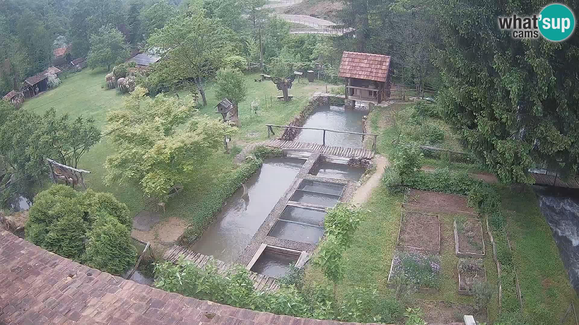 Live webcam Rastoke – river Slunjčica – Croatia