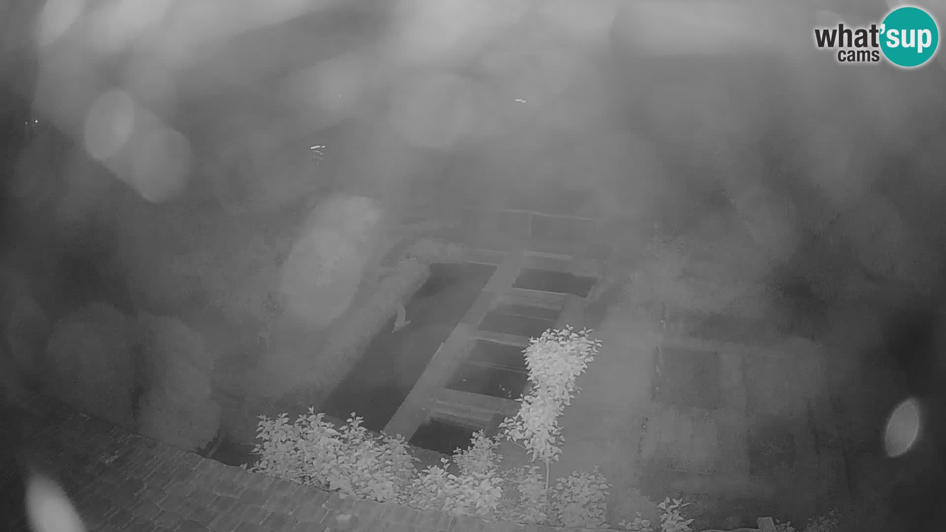 Live-Webcam Rastoke – Fluss Slunjčica – Kroatien