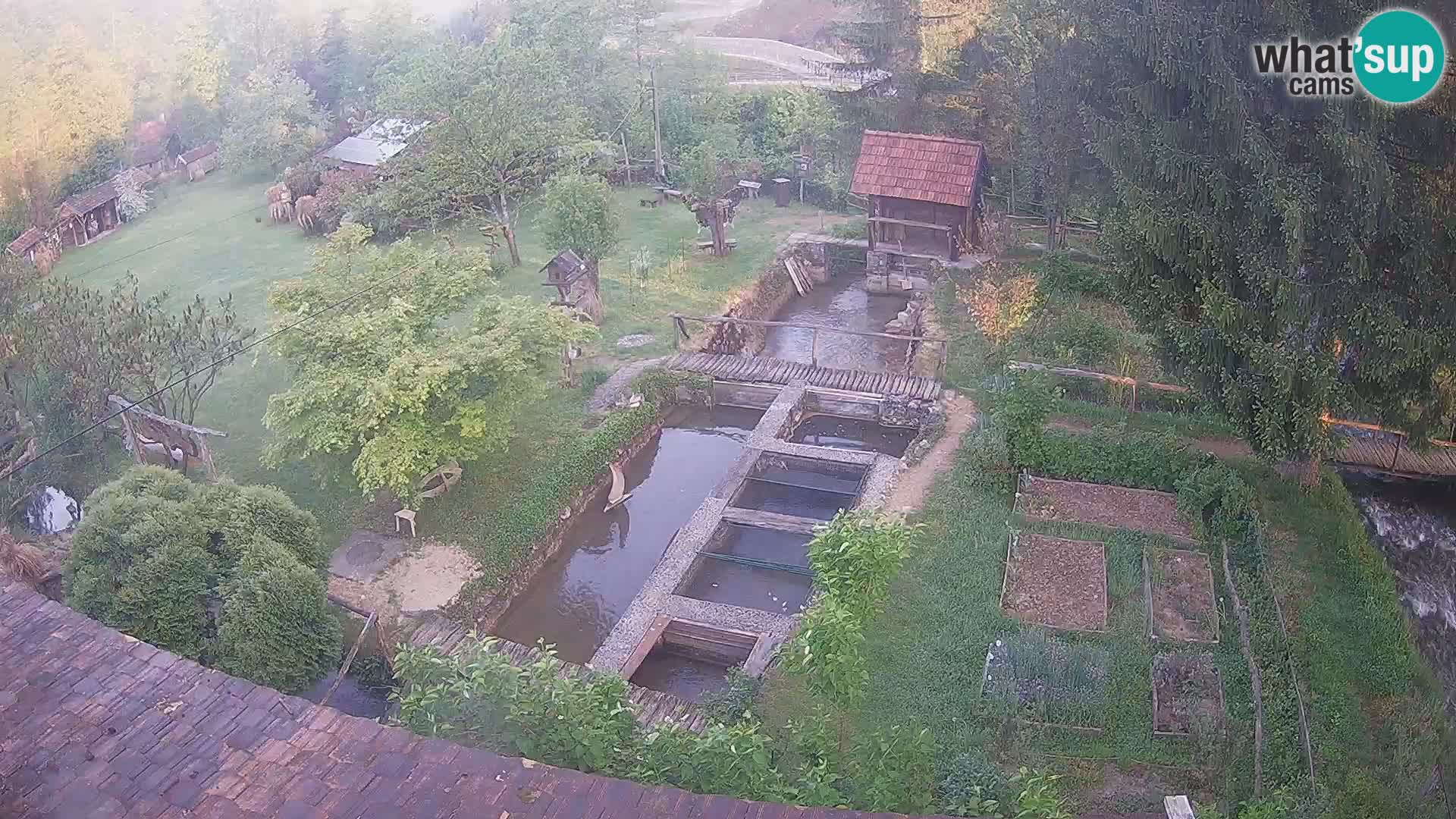 Live-Webcam Rastoke – Fluss Slunjčica – Kroatien
