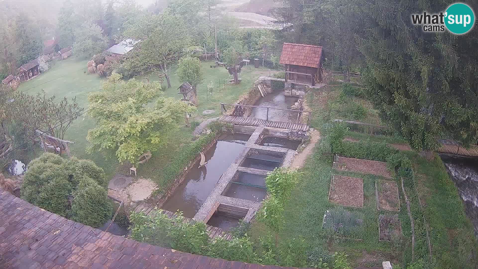 Webcam en direct Rastoke – rivière Slunjčica – Croatie