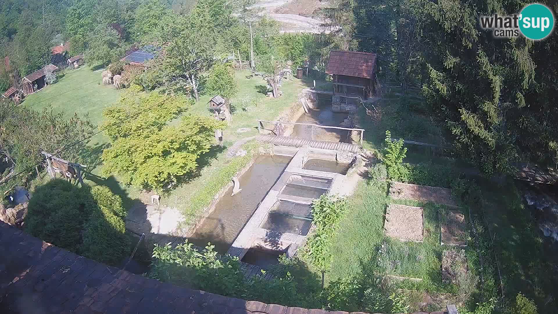 Spletna kamera v živo Rastoke – reka Slunjčica – Hrvaška