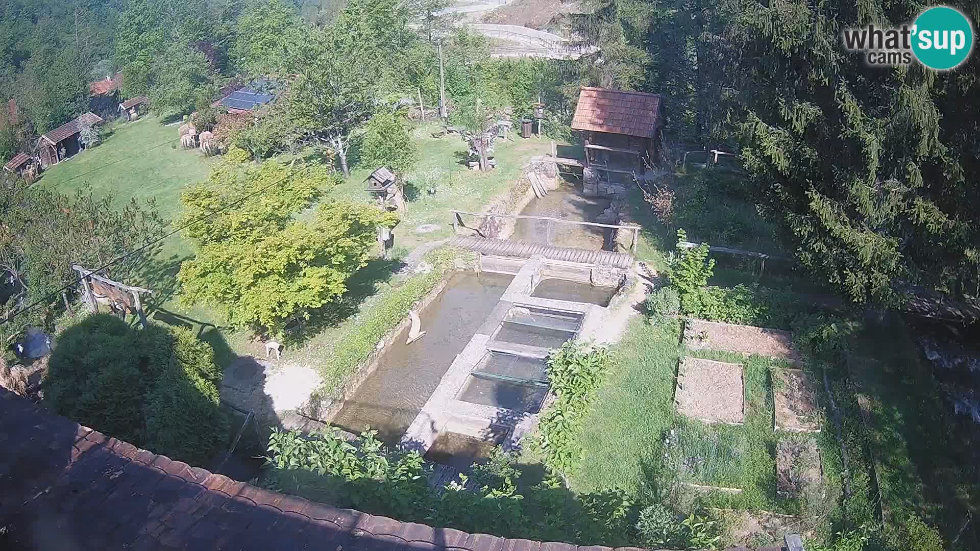 Live-Webcam Rastoke – Fluss Slunjčica – Kroatien