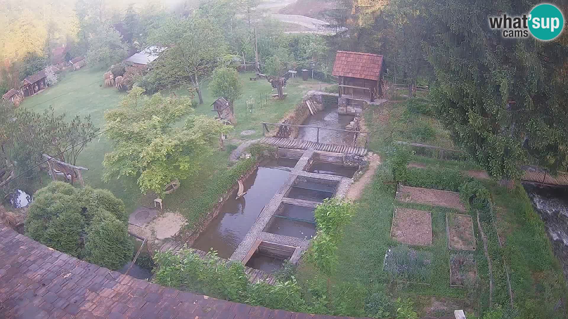 Live webcam Rastoke – river Slunjčica – Croatia