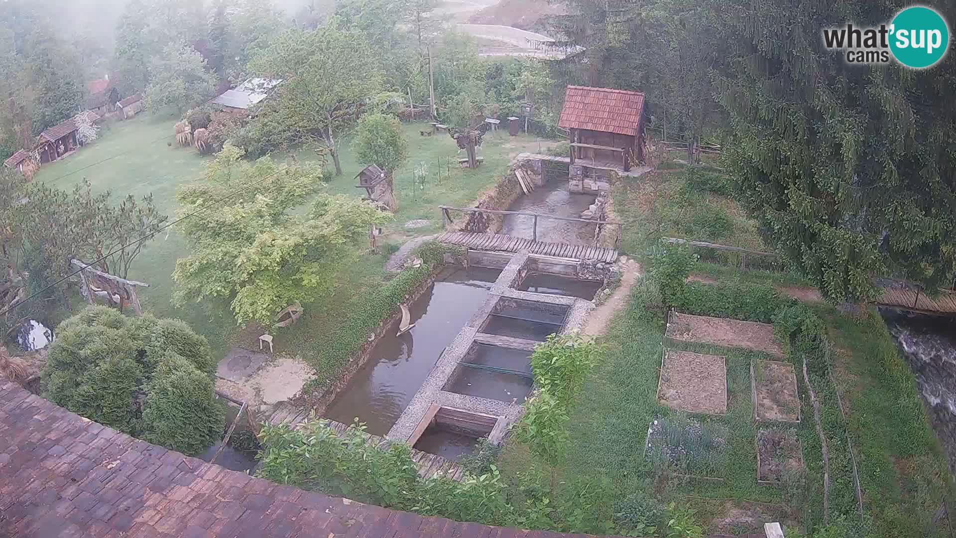 Live webcam Rastoke – river Slunjčica – Croatia