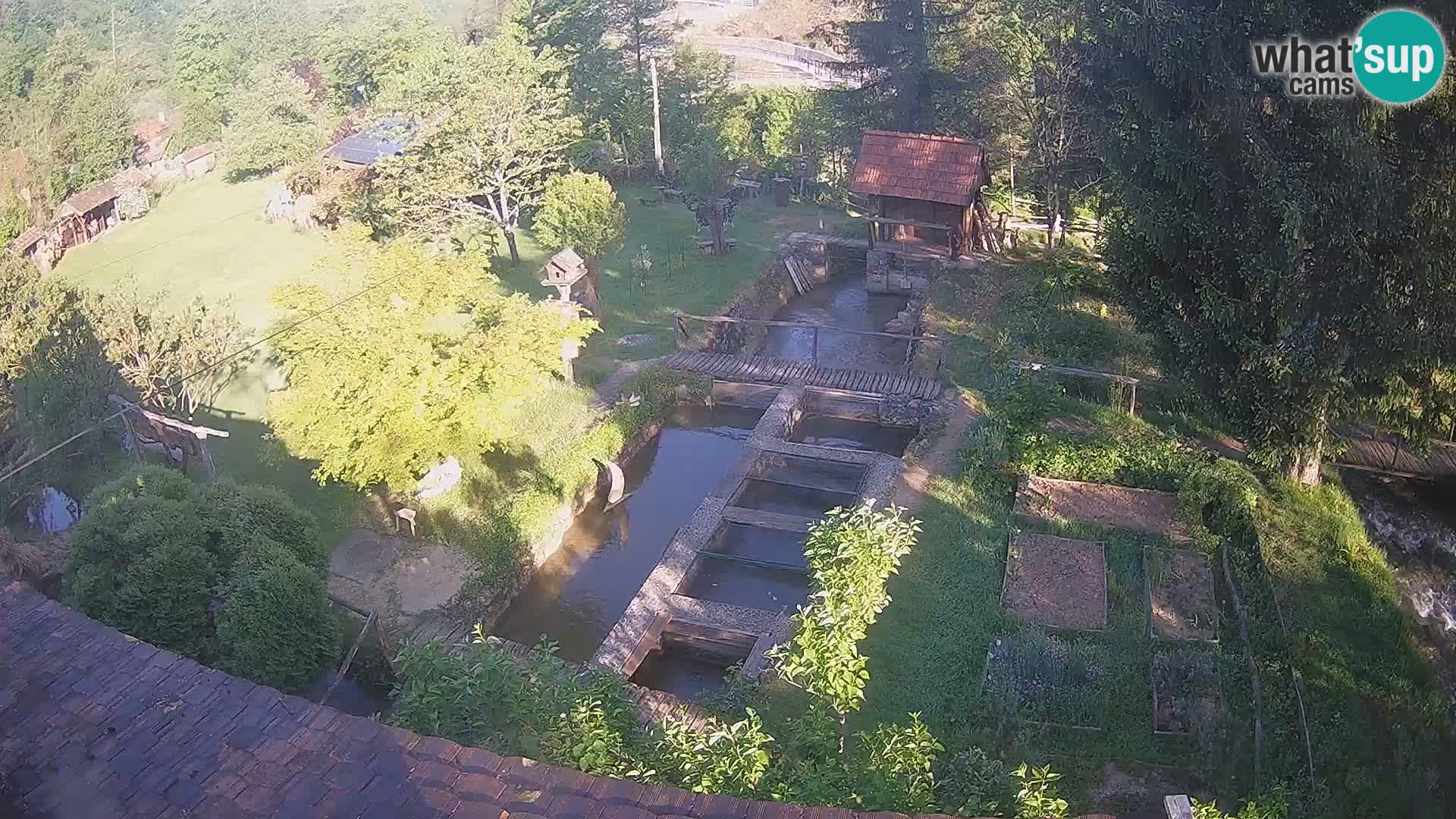 Live-Webcam Rastoke – Fluss Slunjčica – Kroatien