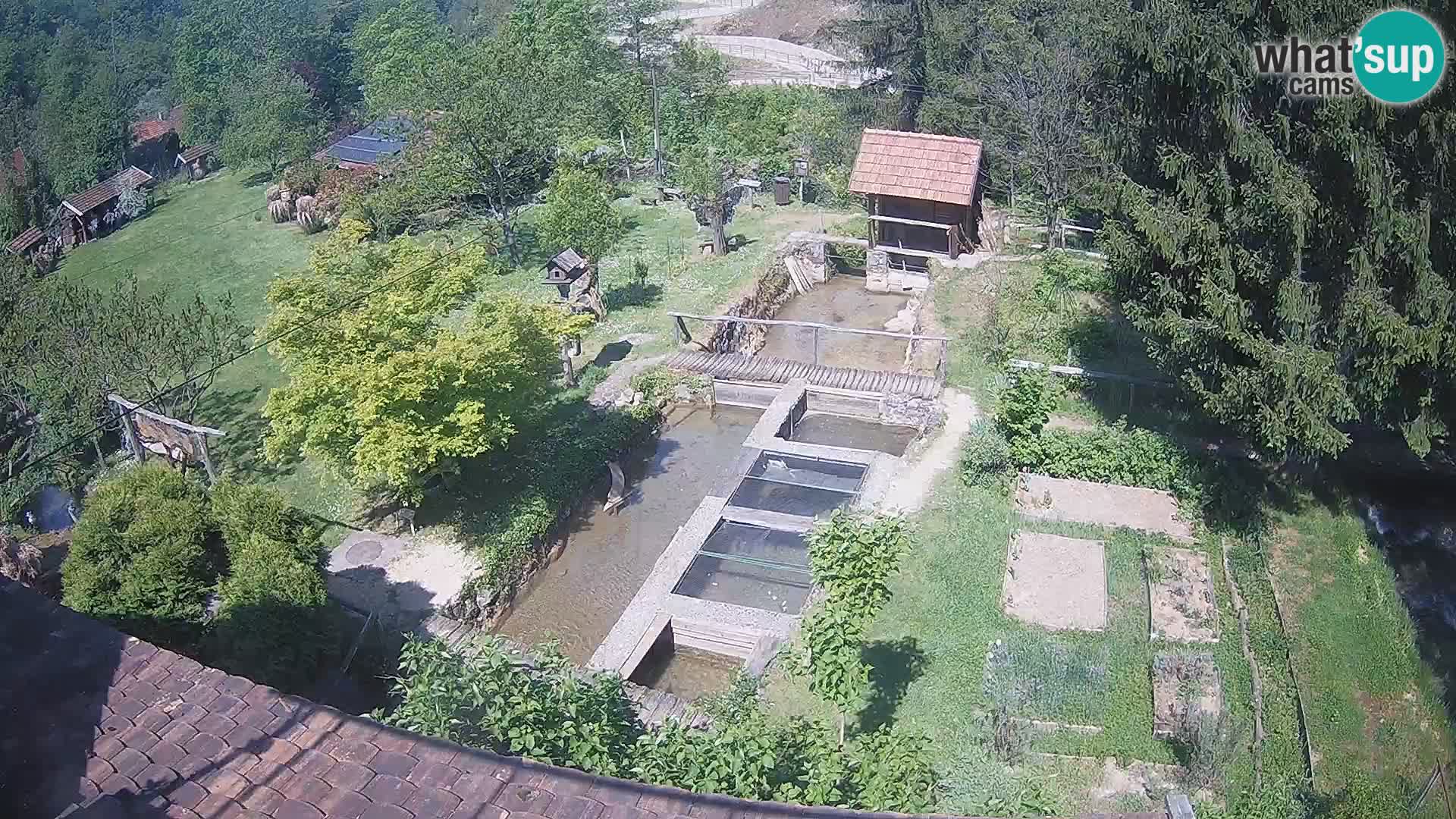 Live-Webcam Rastoke – Fluss Slunjčica – Kroatien