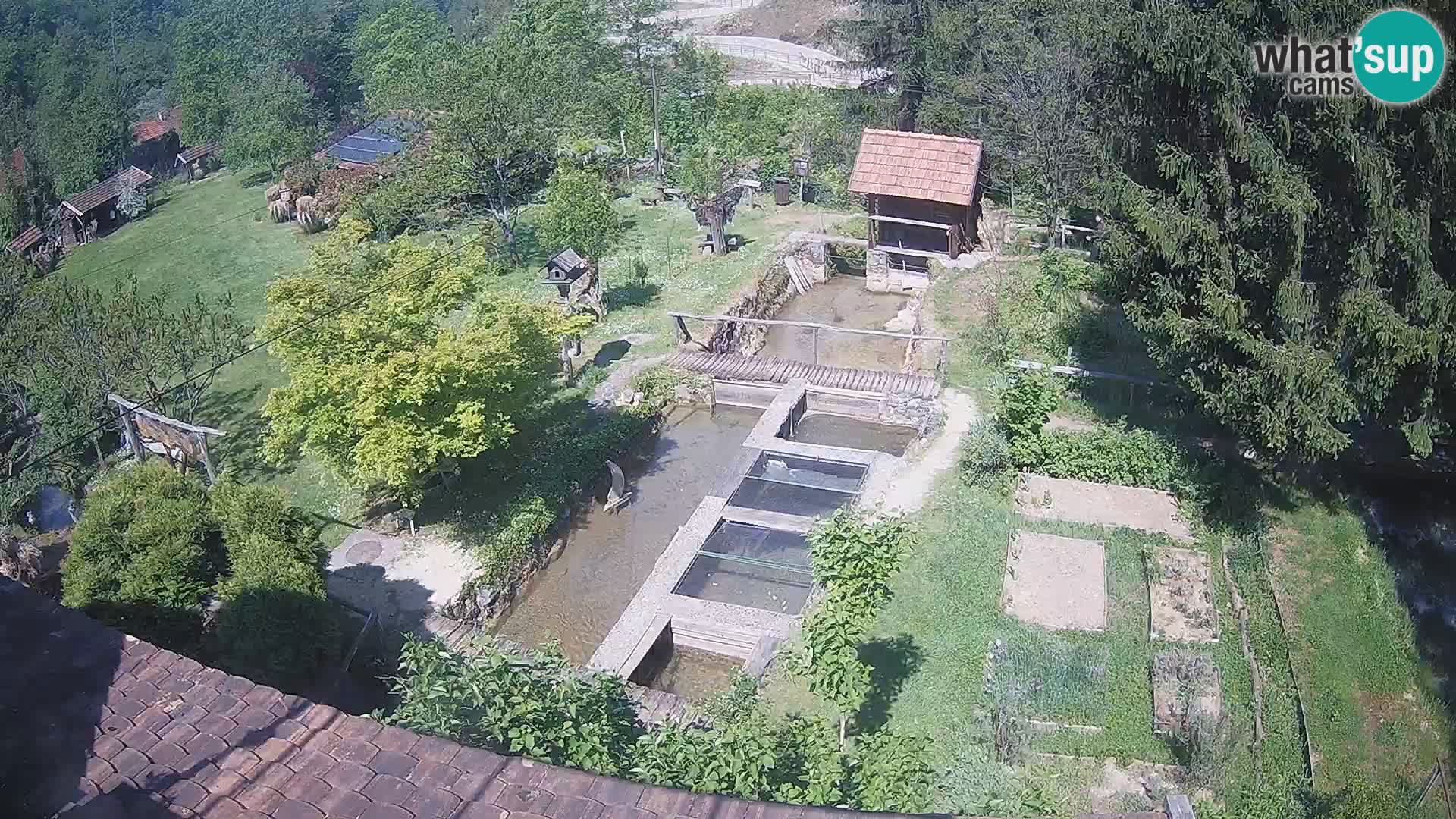 Live webcam Rastoke – river Slunjčica – Croatia